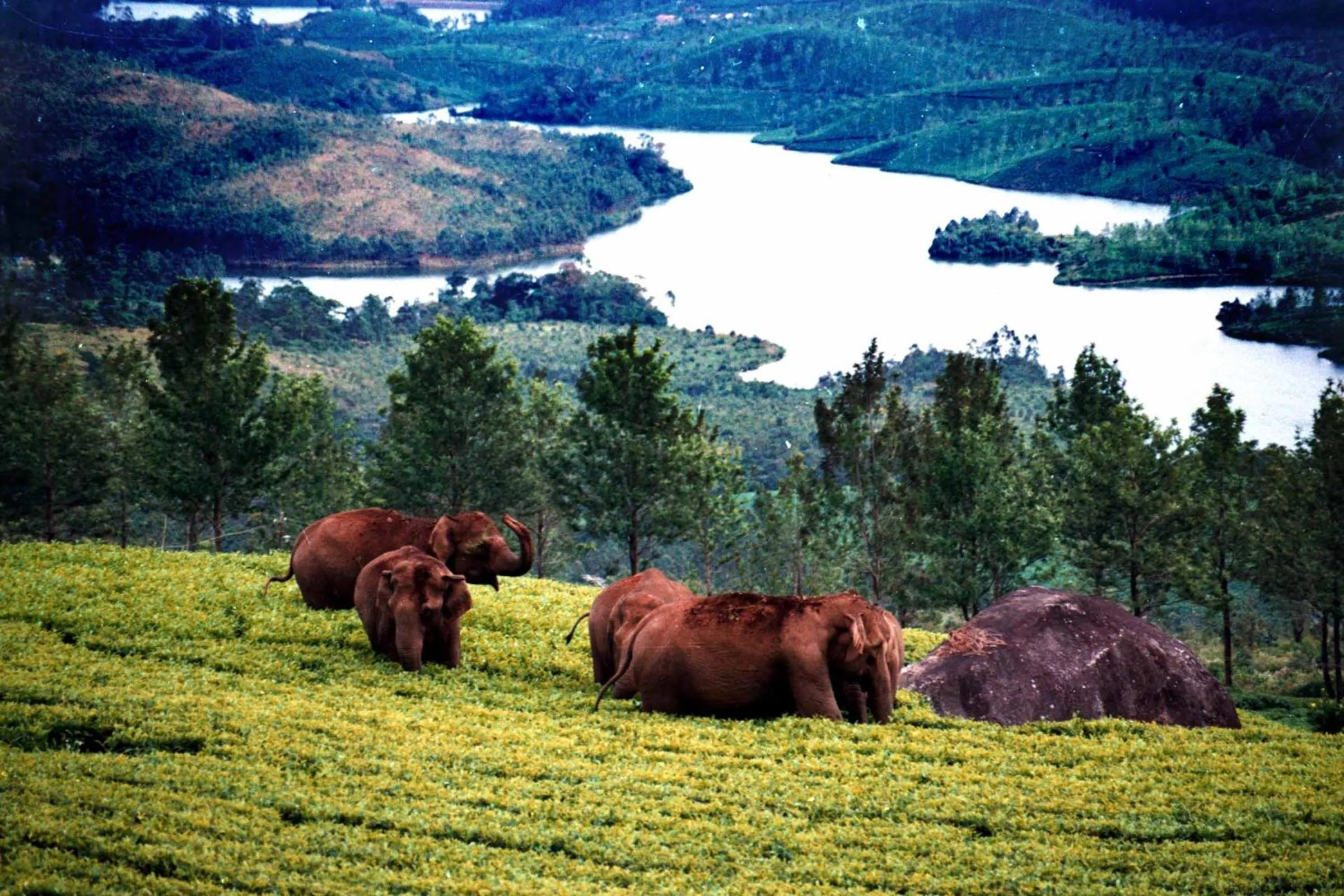 Nearby landmark in Mistica Munnar