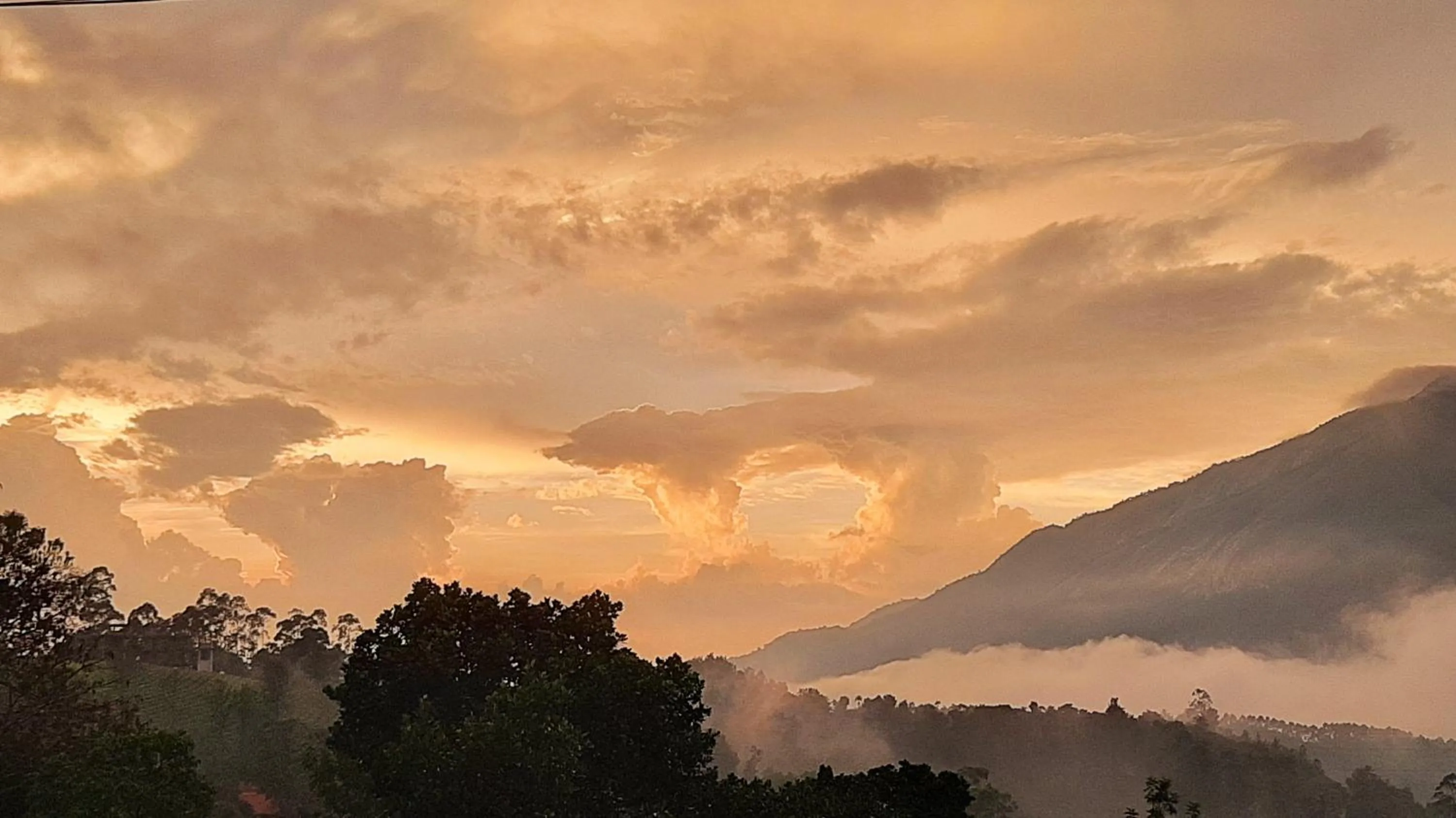 Mountain view in Mistica Munnar