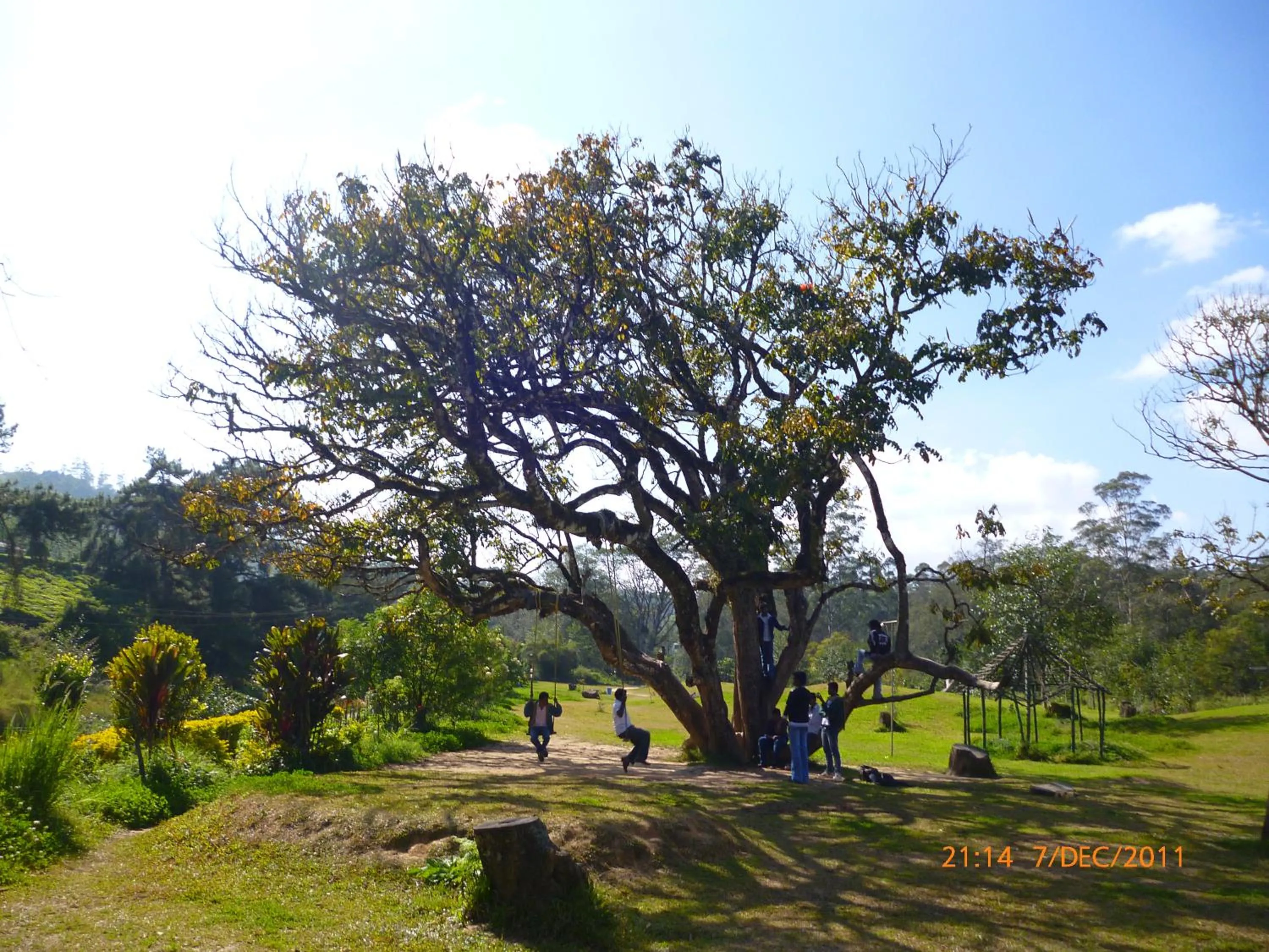 Mistica Munnar