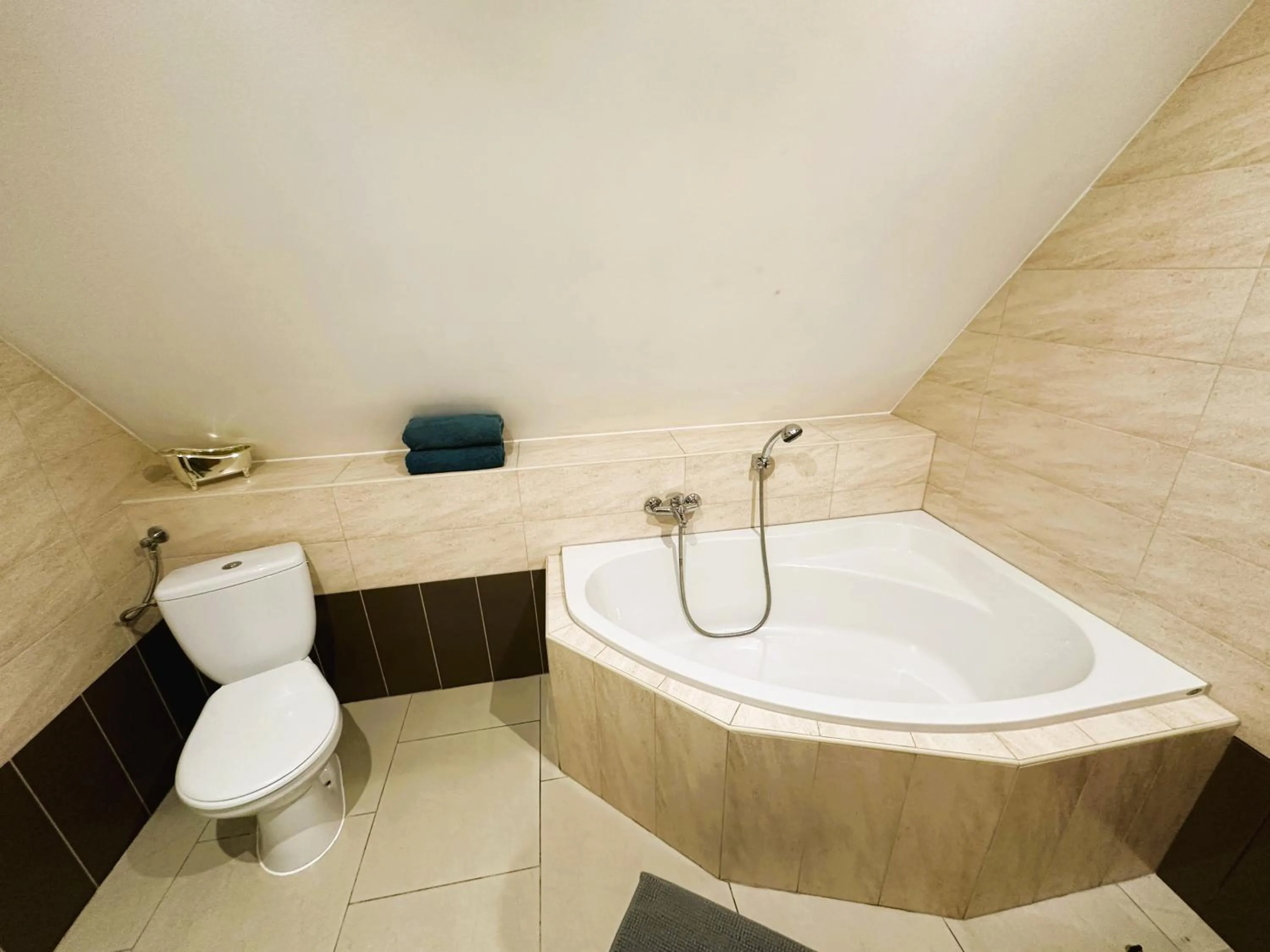 Toilet in Dom Gościnny Gerus