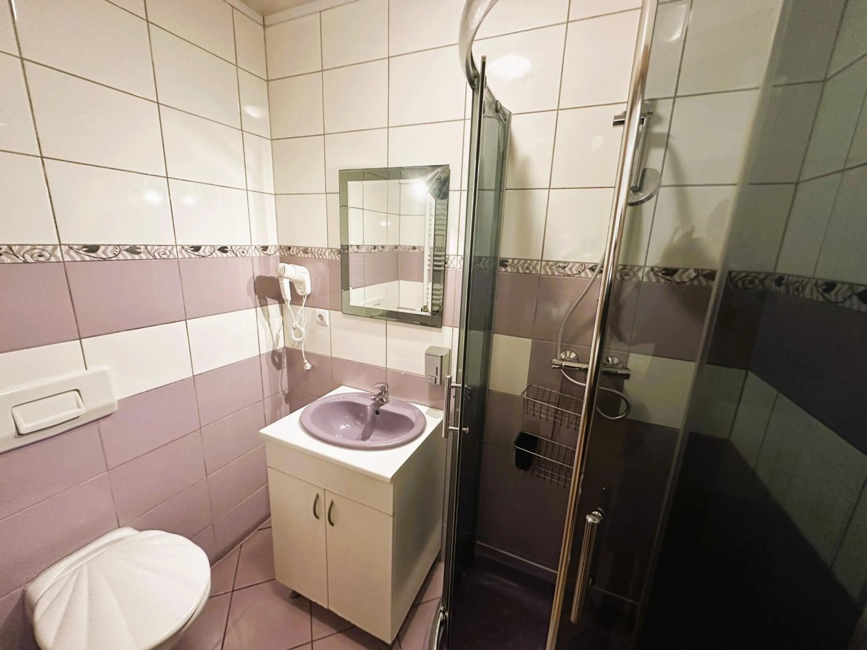 Shower in Dom Gościnny Gerus