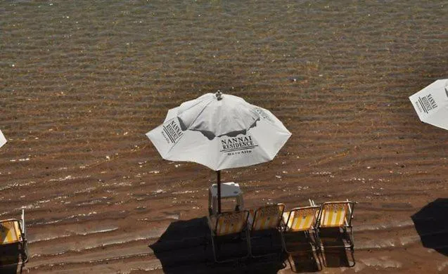 Beach in Flat NANNAI RESIDENCE