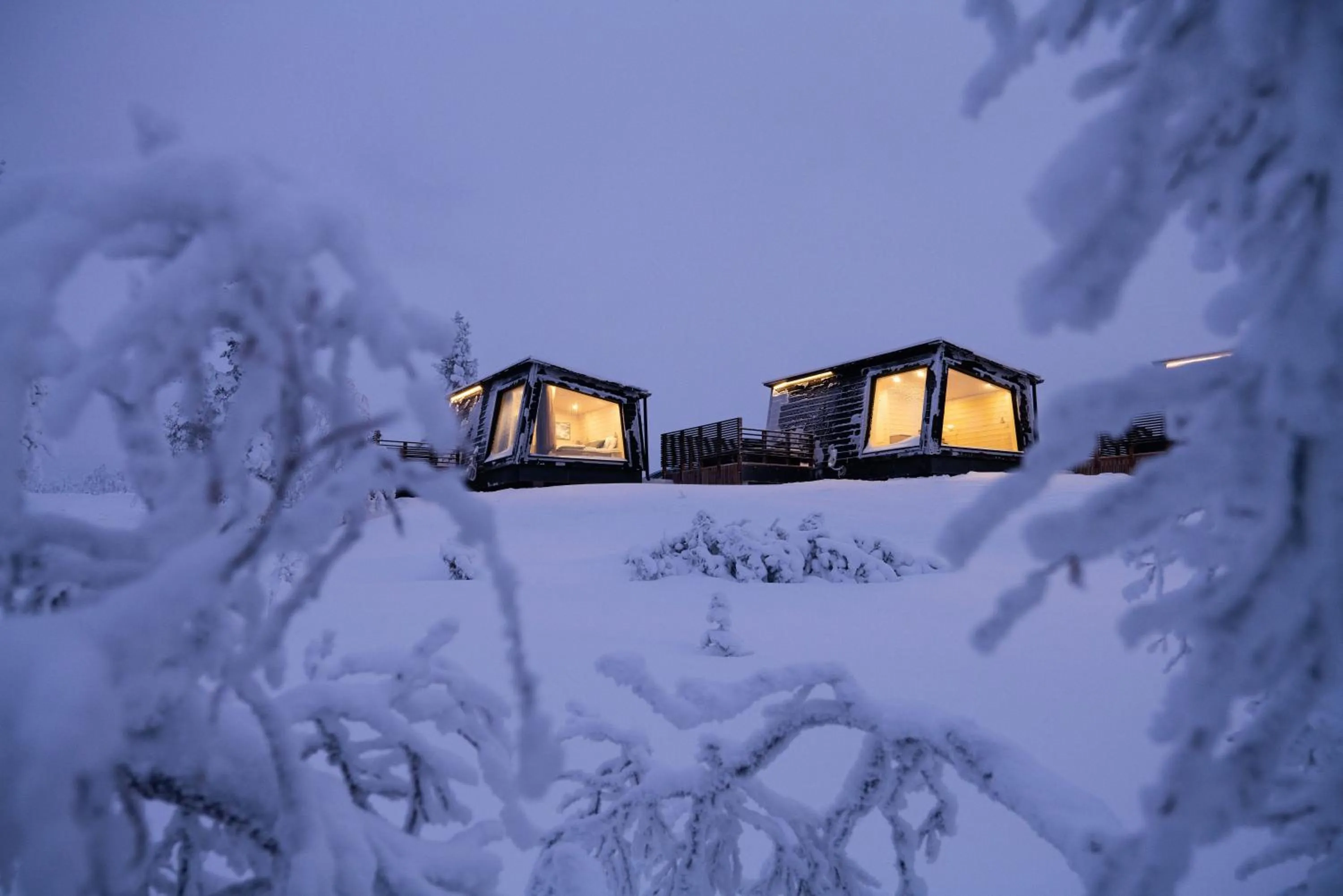 Night in Aurora Collection