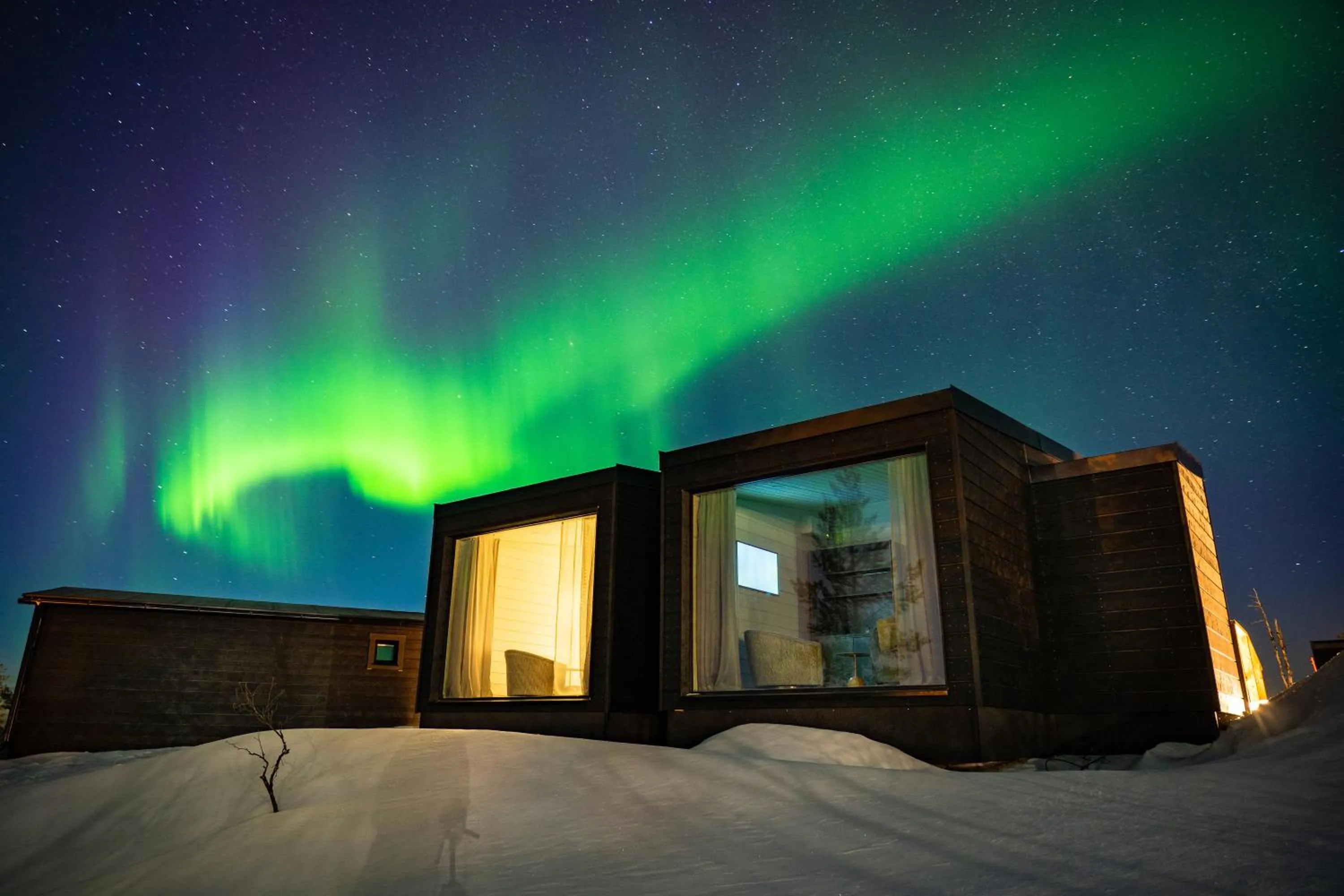 Night in Aurora Collection