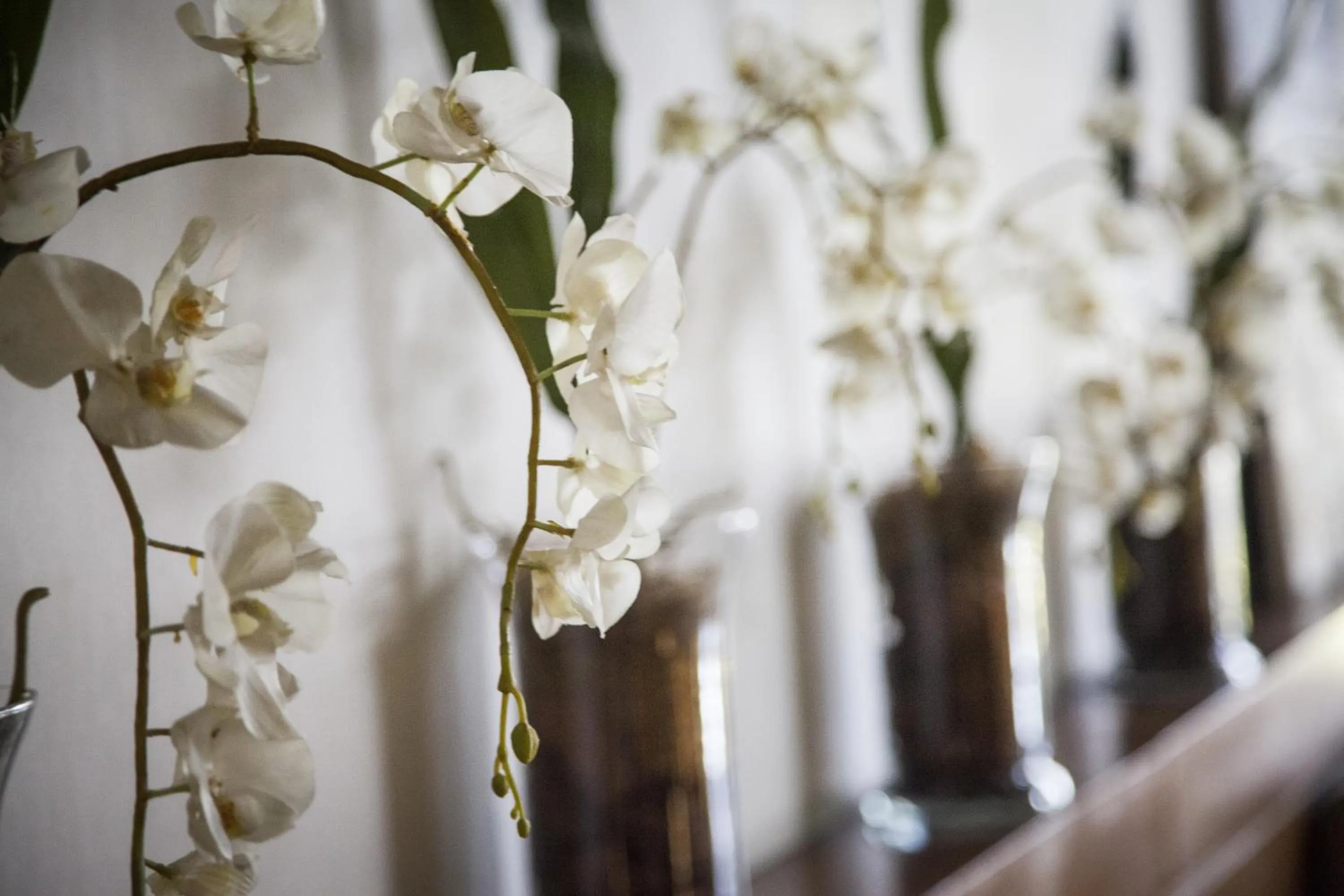 Other in El Conquistador Hotel