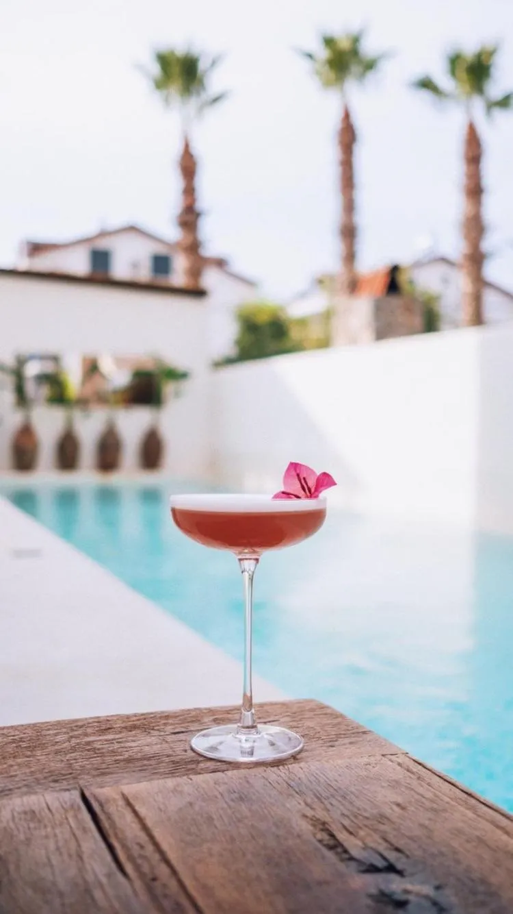 Day in To Be Social House