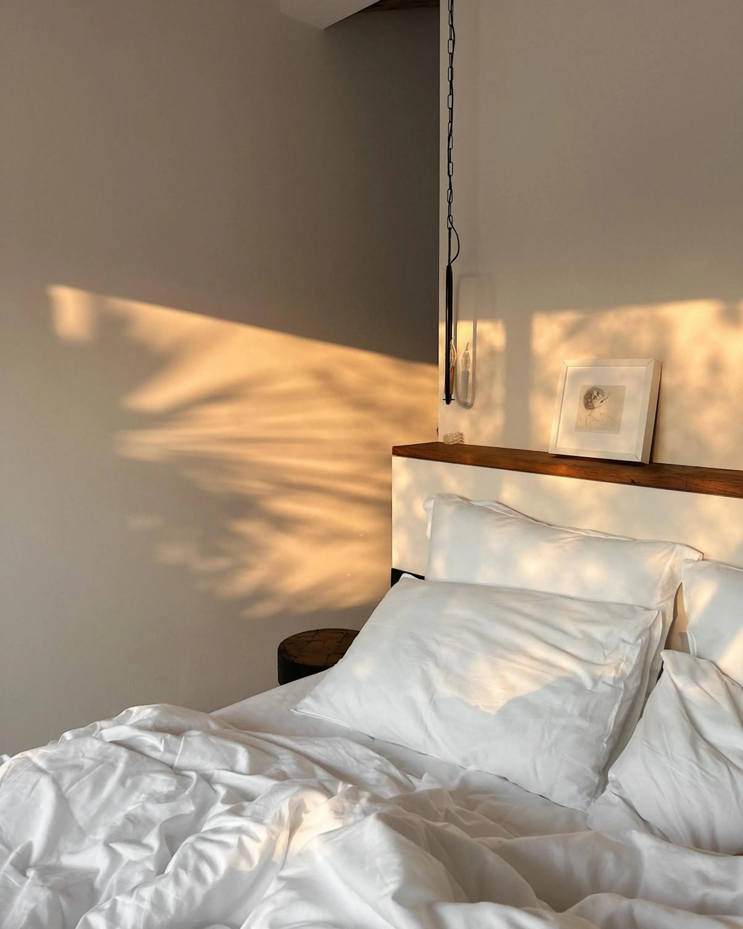 Bed in To Be Social House