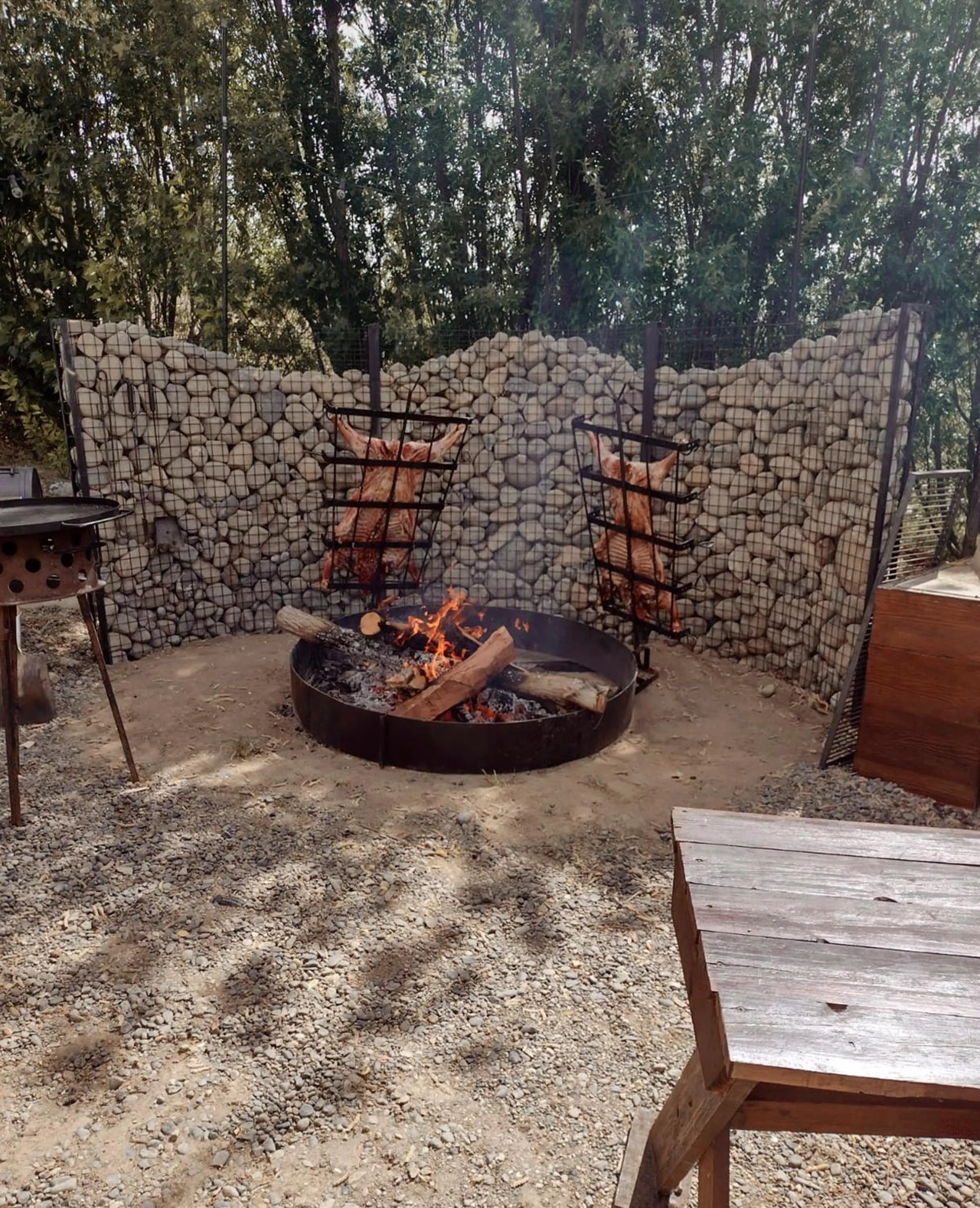 BBQ facilities in Xelena Hotel & Suites