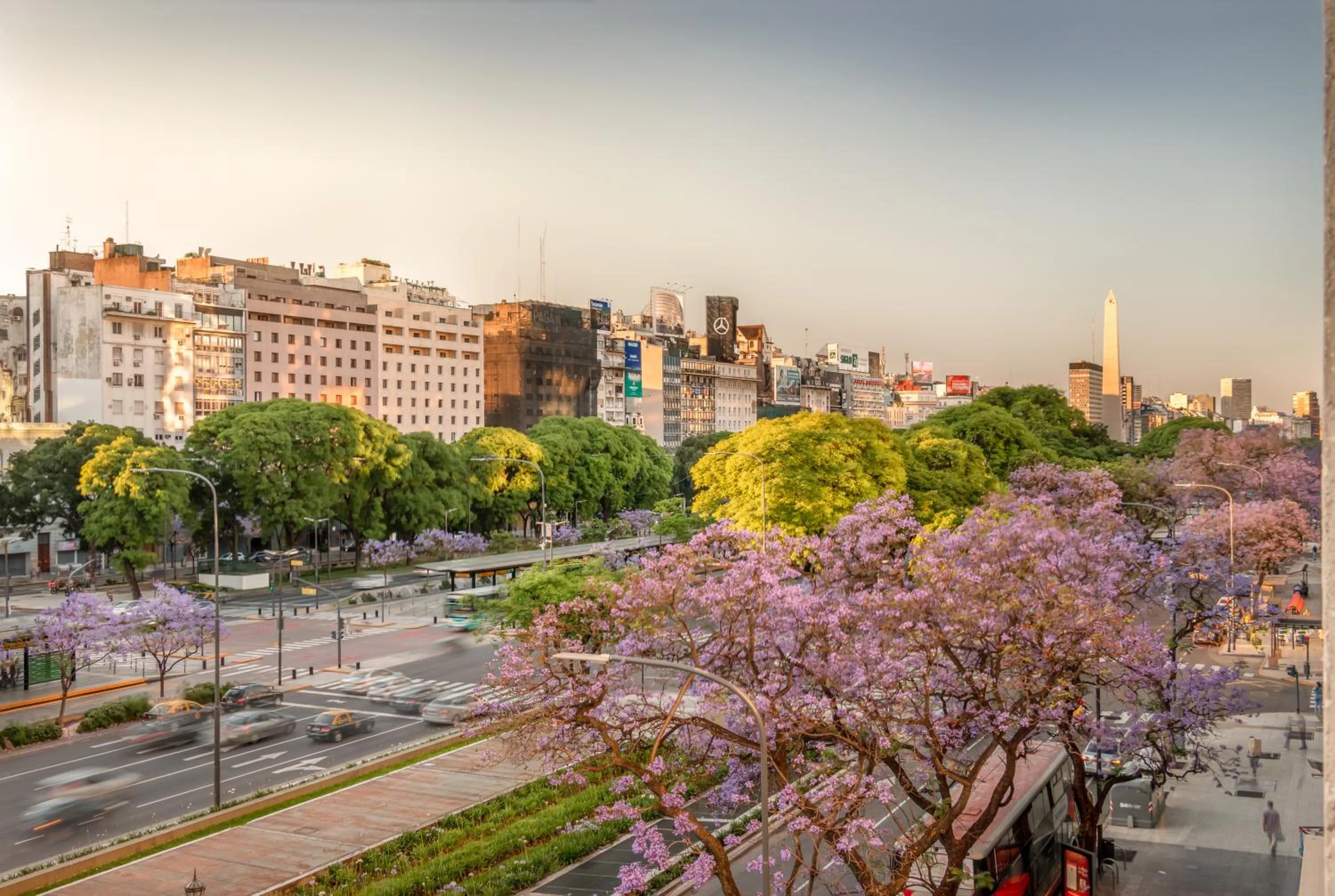 Activities in Up Tribeca