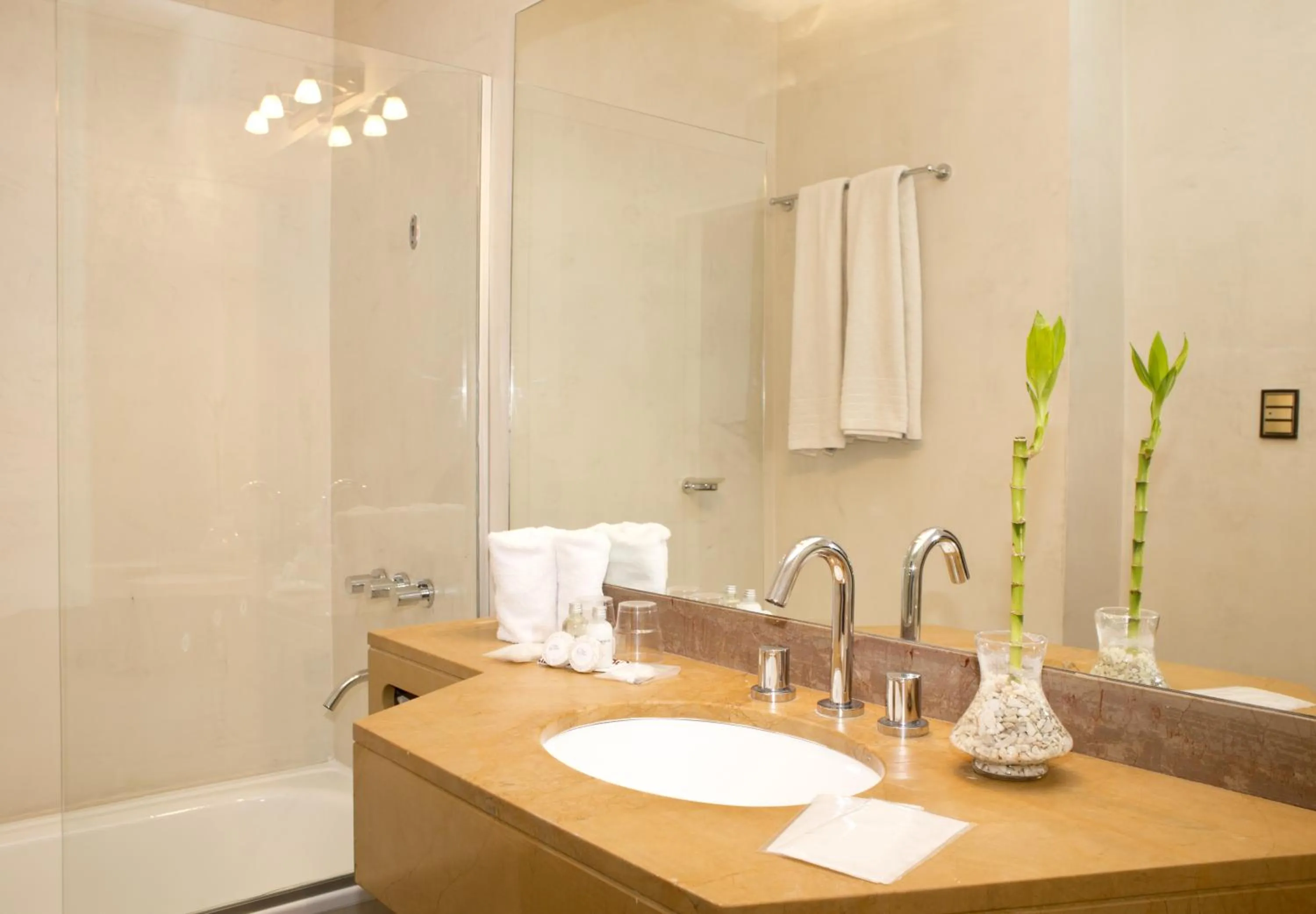 Bathroom in Bisonte Libertad