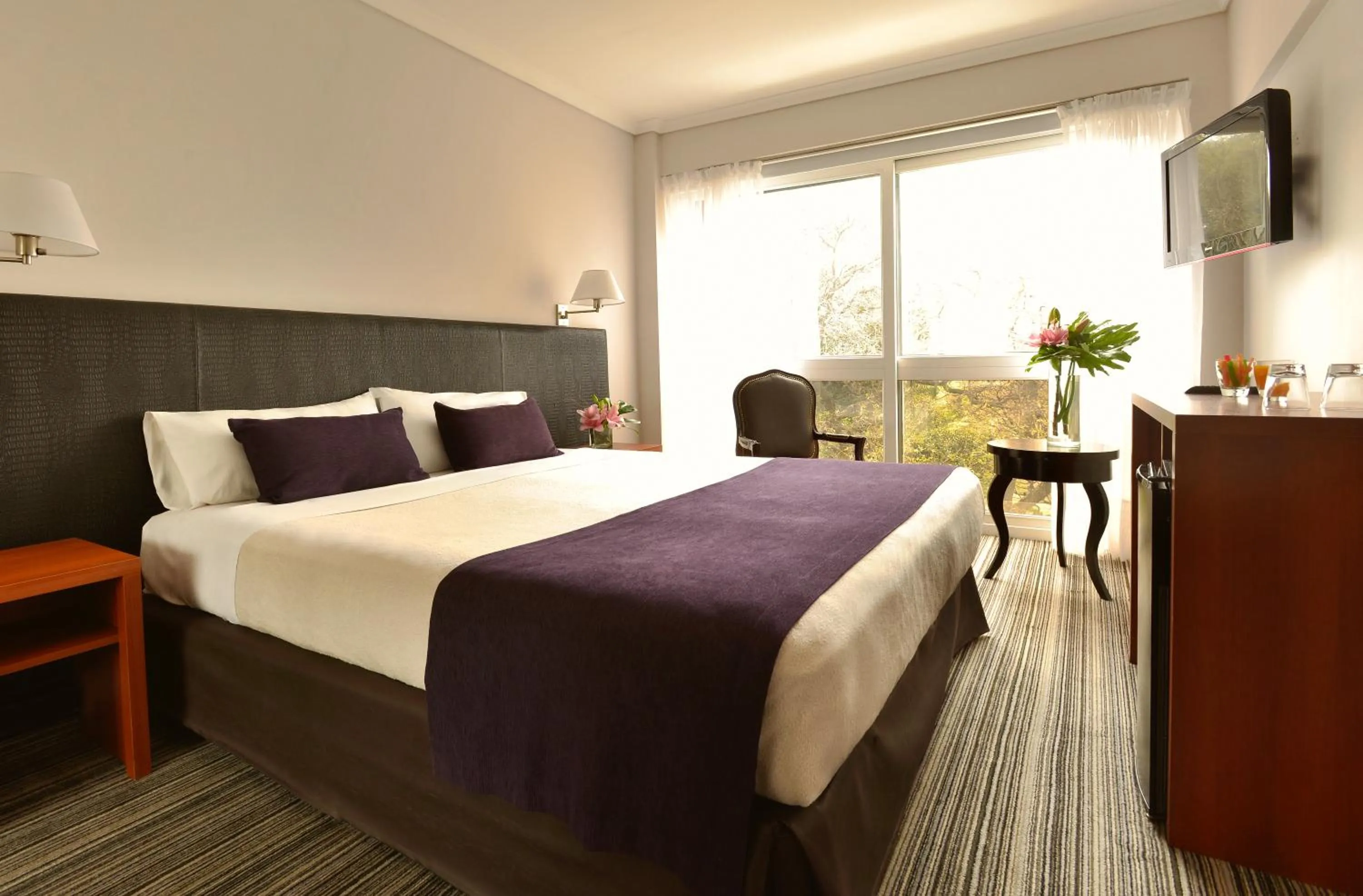 Photo of the whole room, Bed in Bisonte Libertad