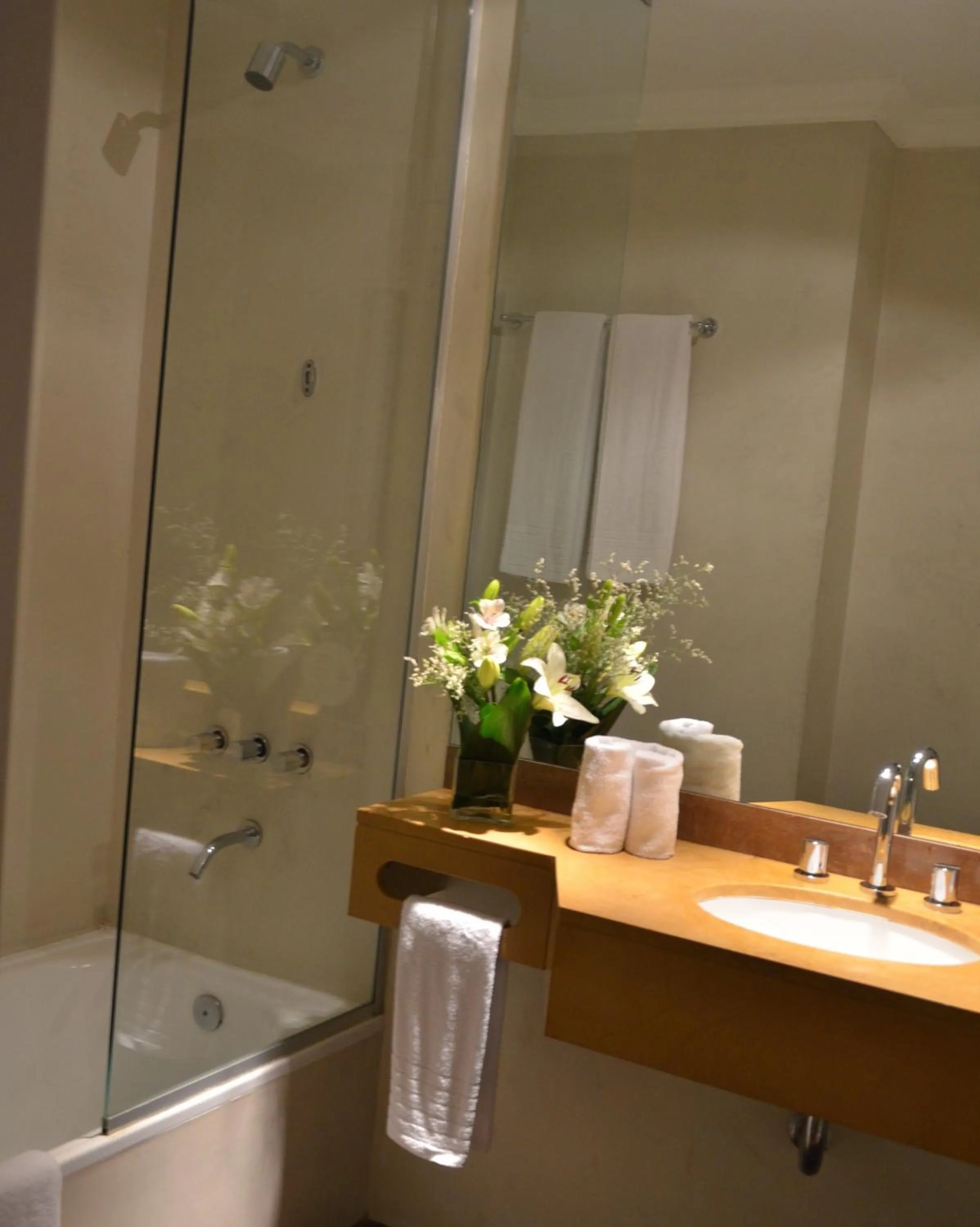 Bathroom in Bisonte Libertad