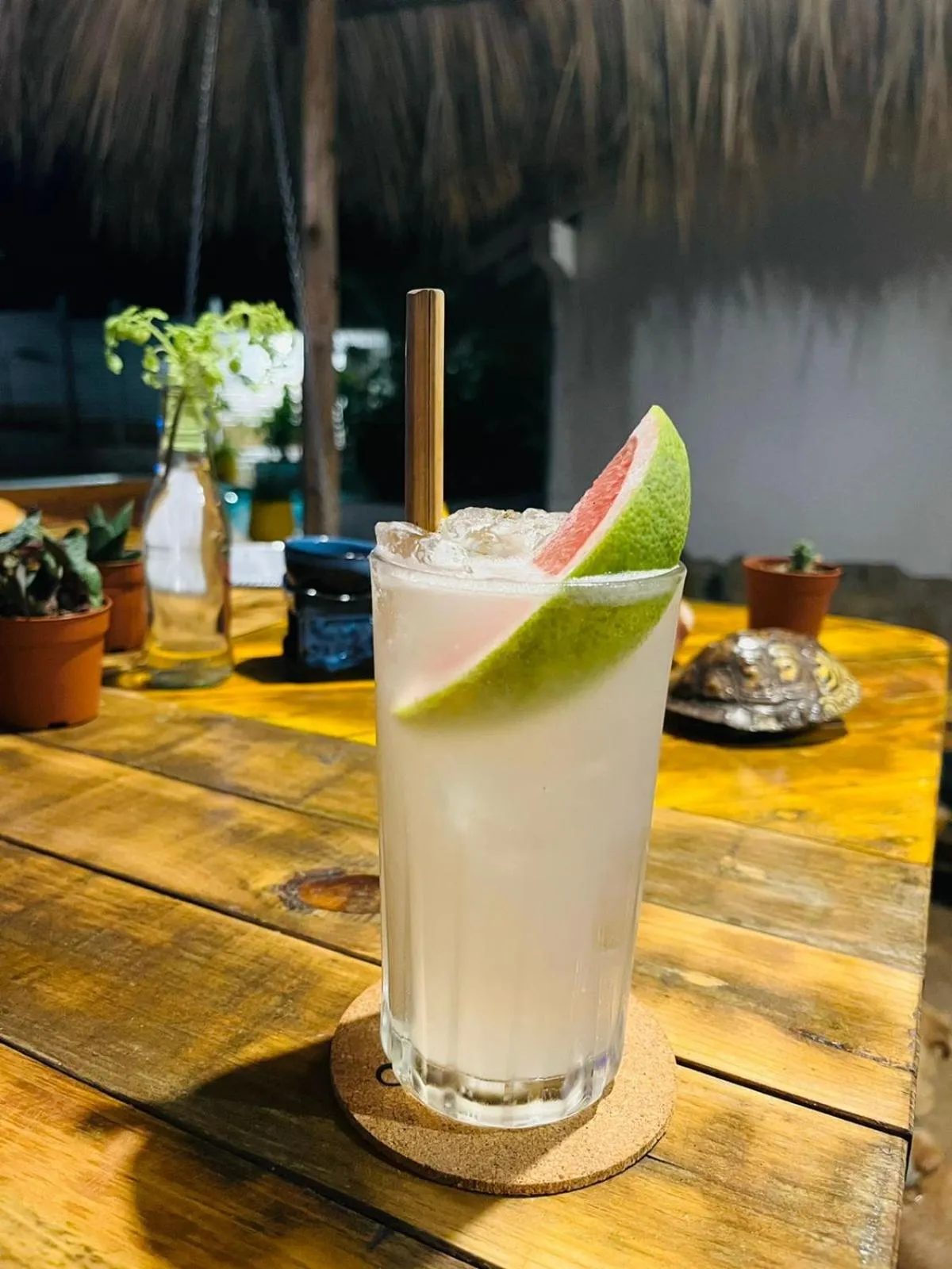 Lounge or bar in Hotel Cabañas Puesta del Sol