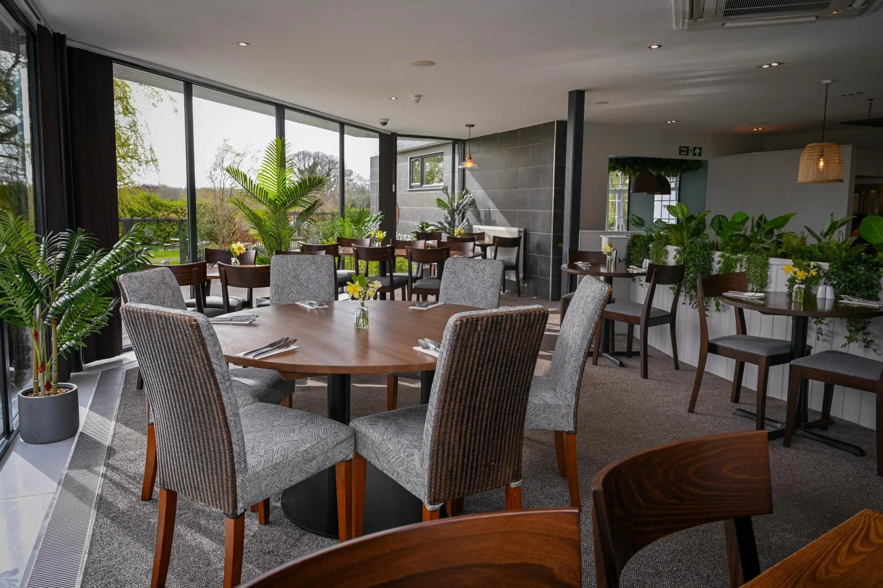 Restaurant/places to eat in White House