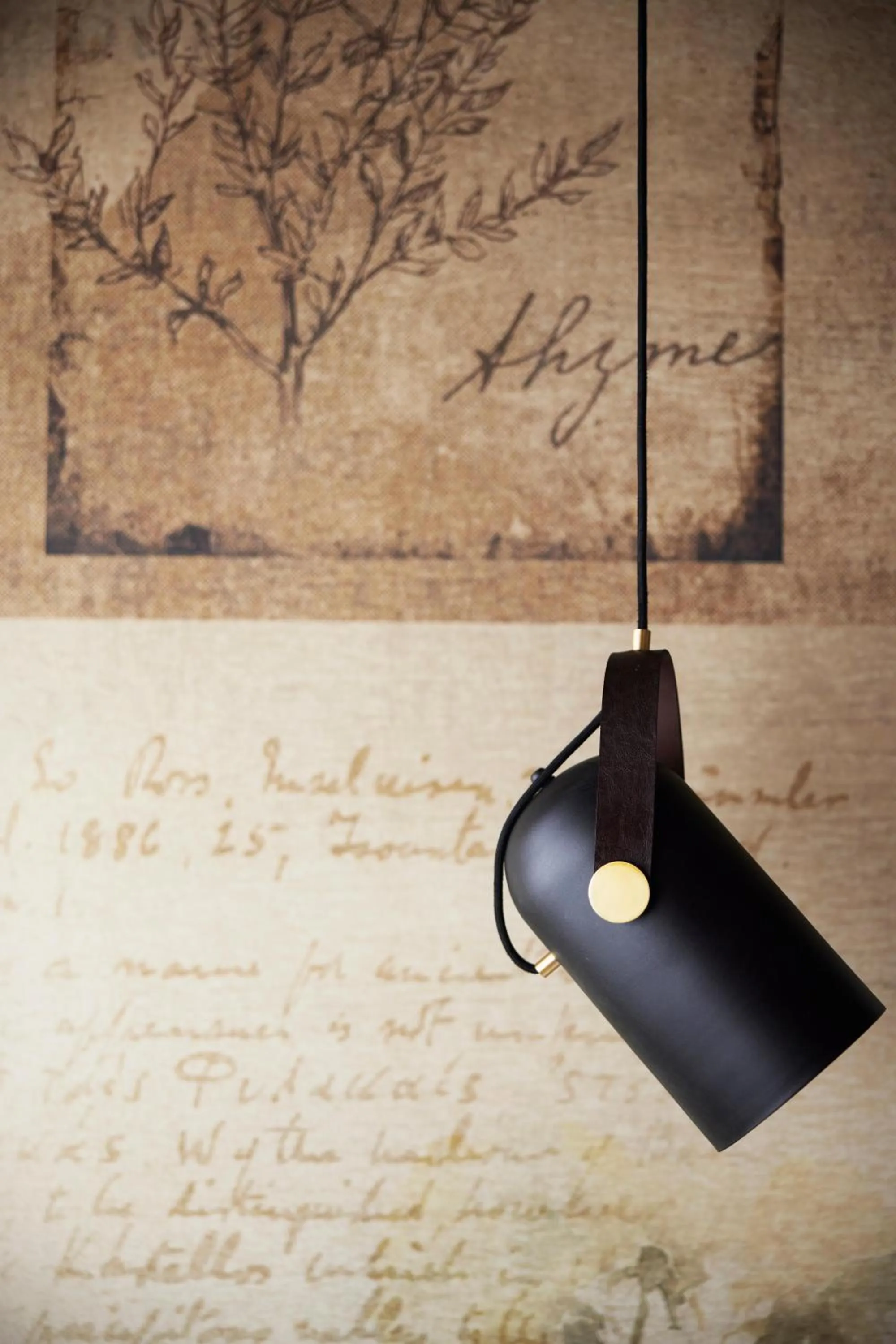 Photo of the whole room in Anise, Aluma Hotels & Resorts