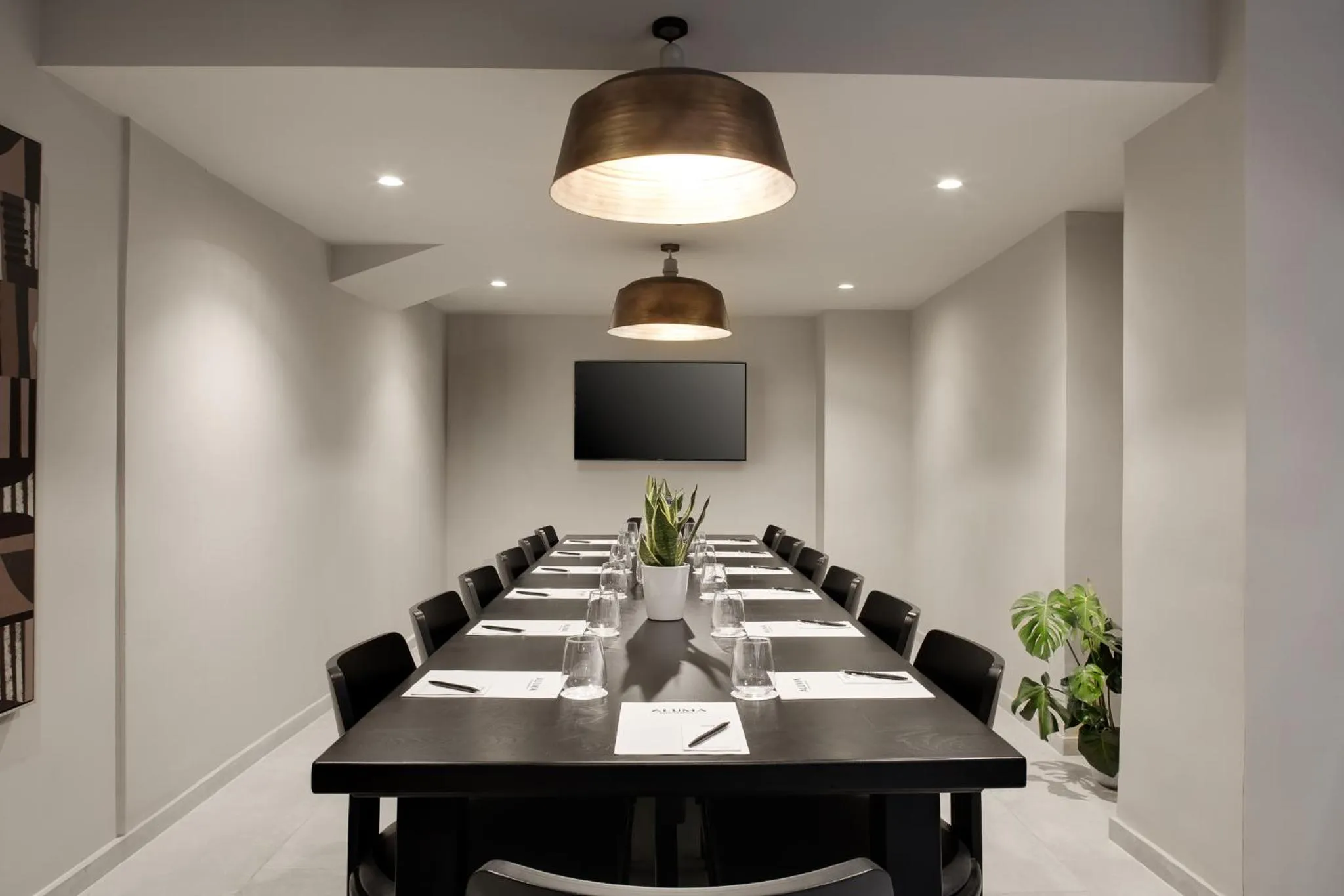 Meeting/conference room in Anise, Aluma Hotels & Resorts
