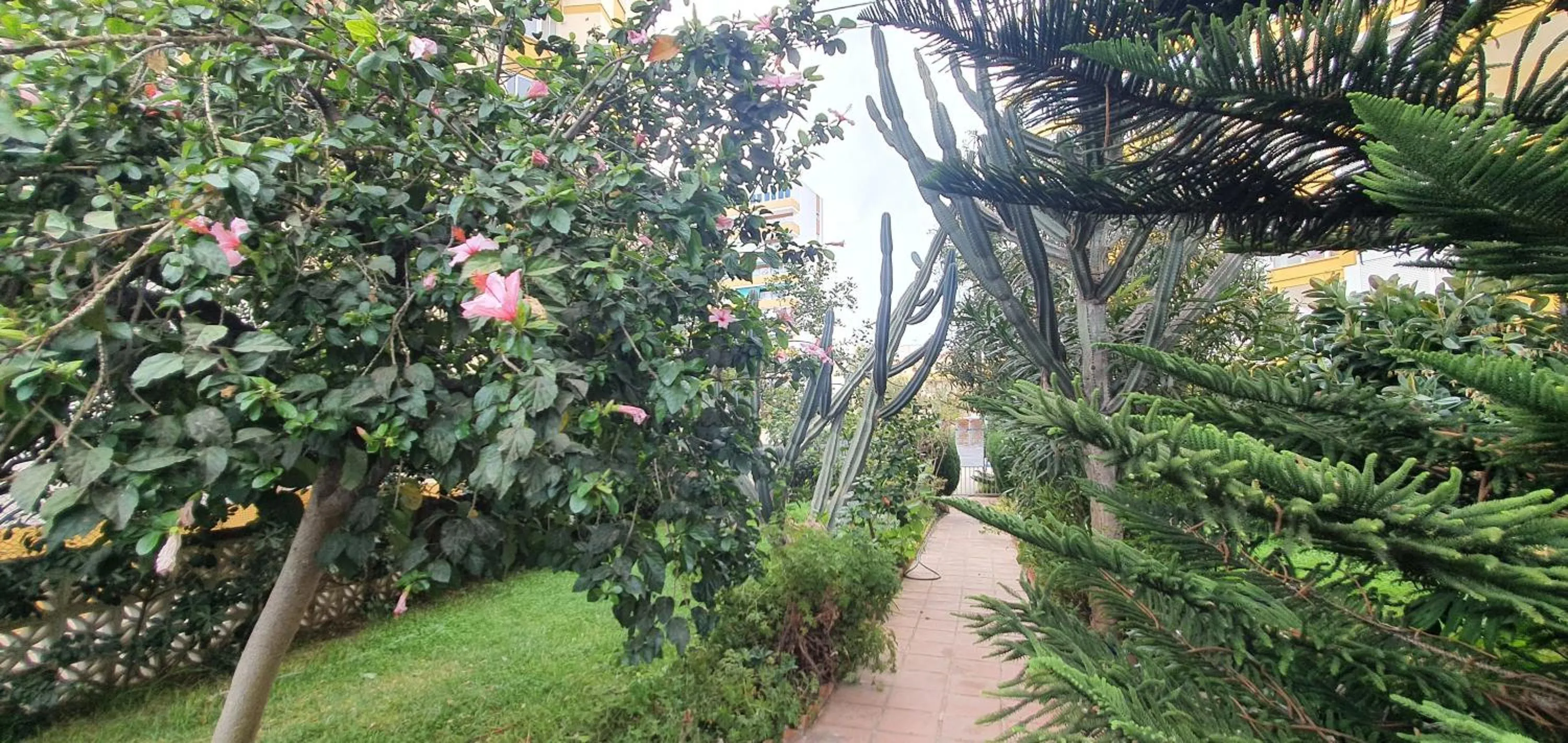 Garden in APARTAMENTO Torre Del Mar