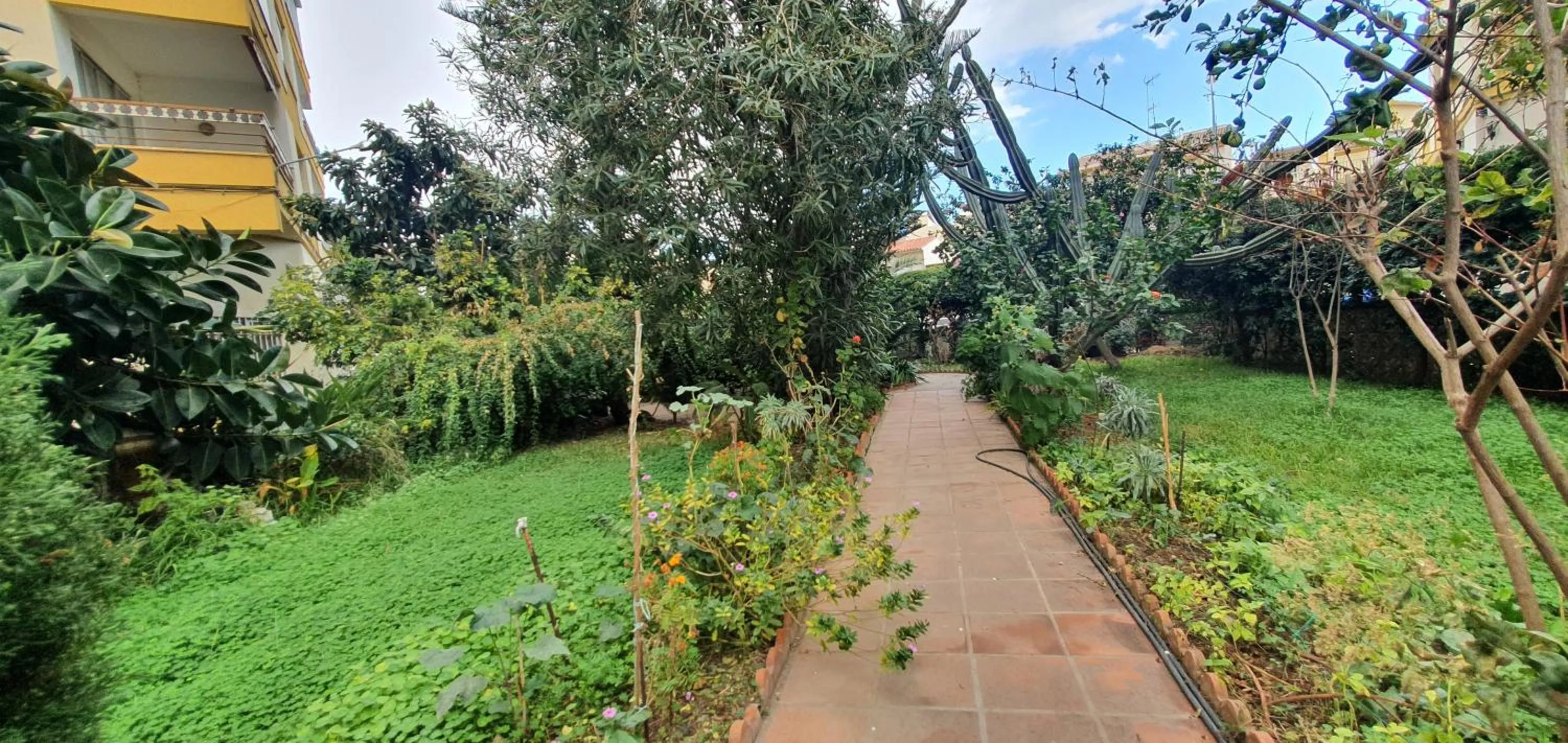 Garden in APARTAMENTO Torre Del Mar