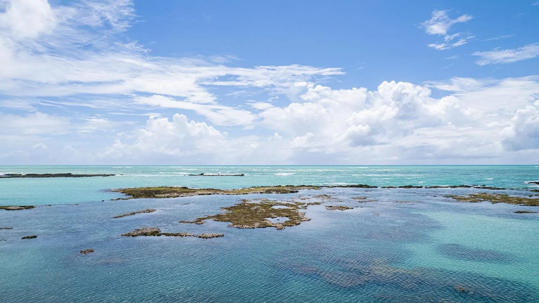 Beach in Ipioca Beach Resort Maceió