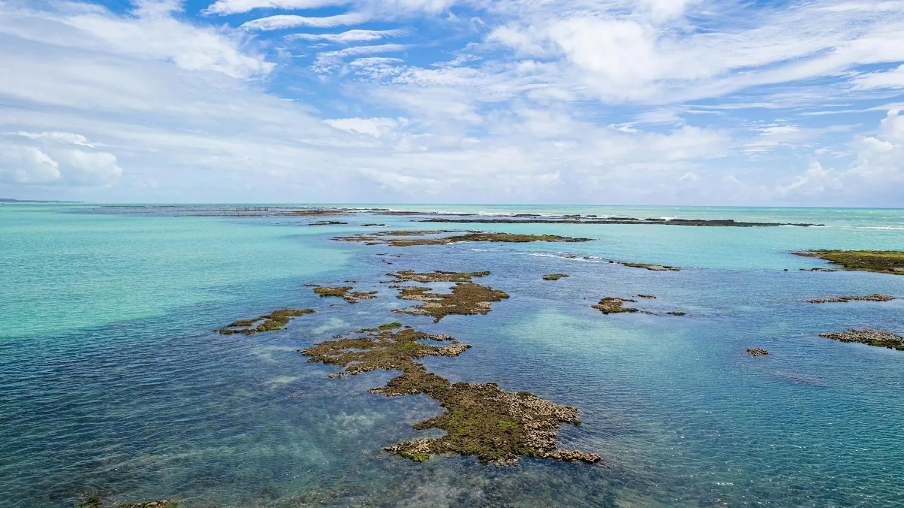 Beach in Ipioca Beach Resort Maceió