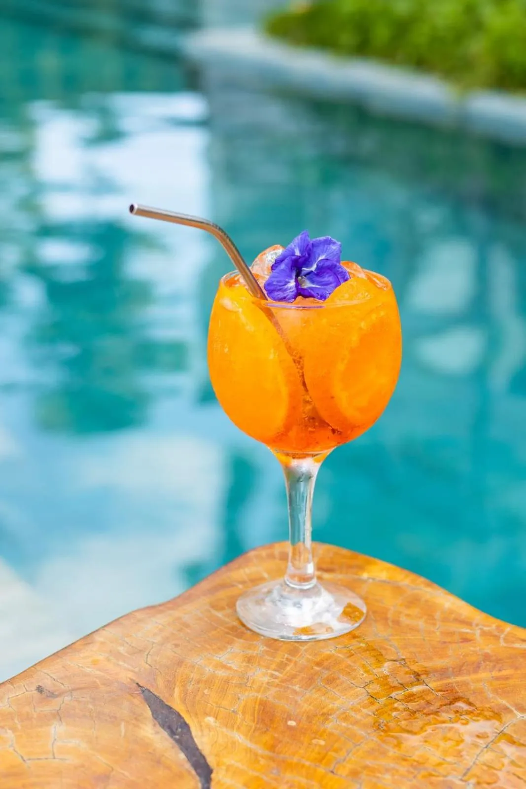 Villa Pantai Boutique Hotel Maragogi