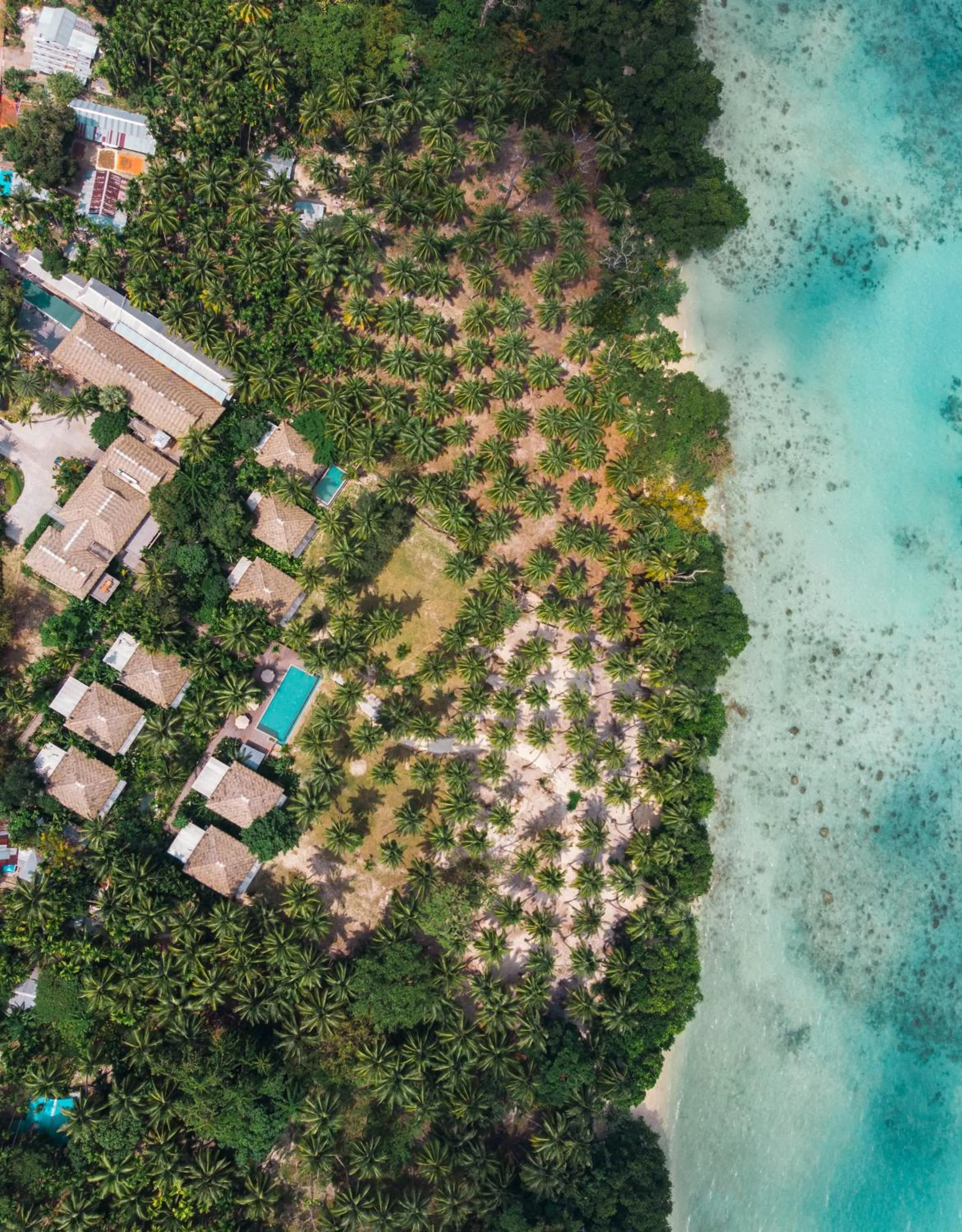 Bird's eye view in Tilar Siro Andamans - A CGH Earth Experience