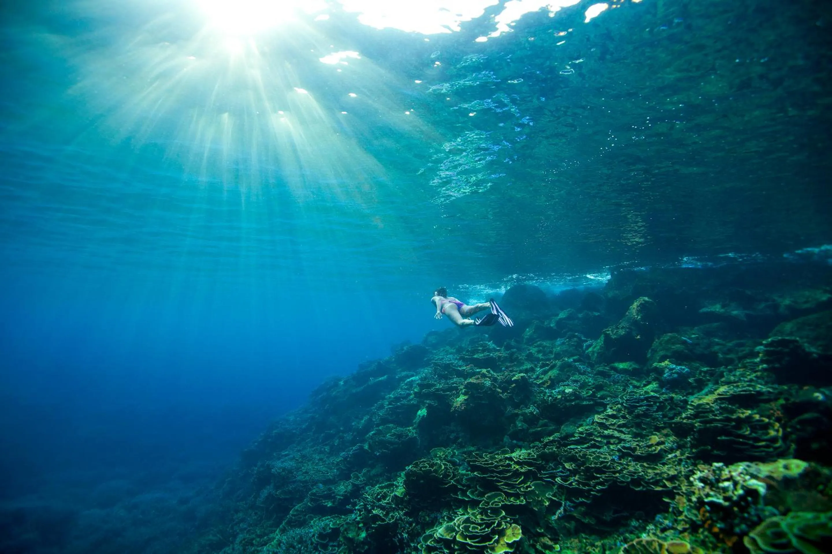 Activities in Tilar Siro Andamans - A CGH Earth Experience