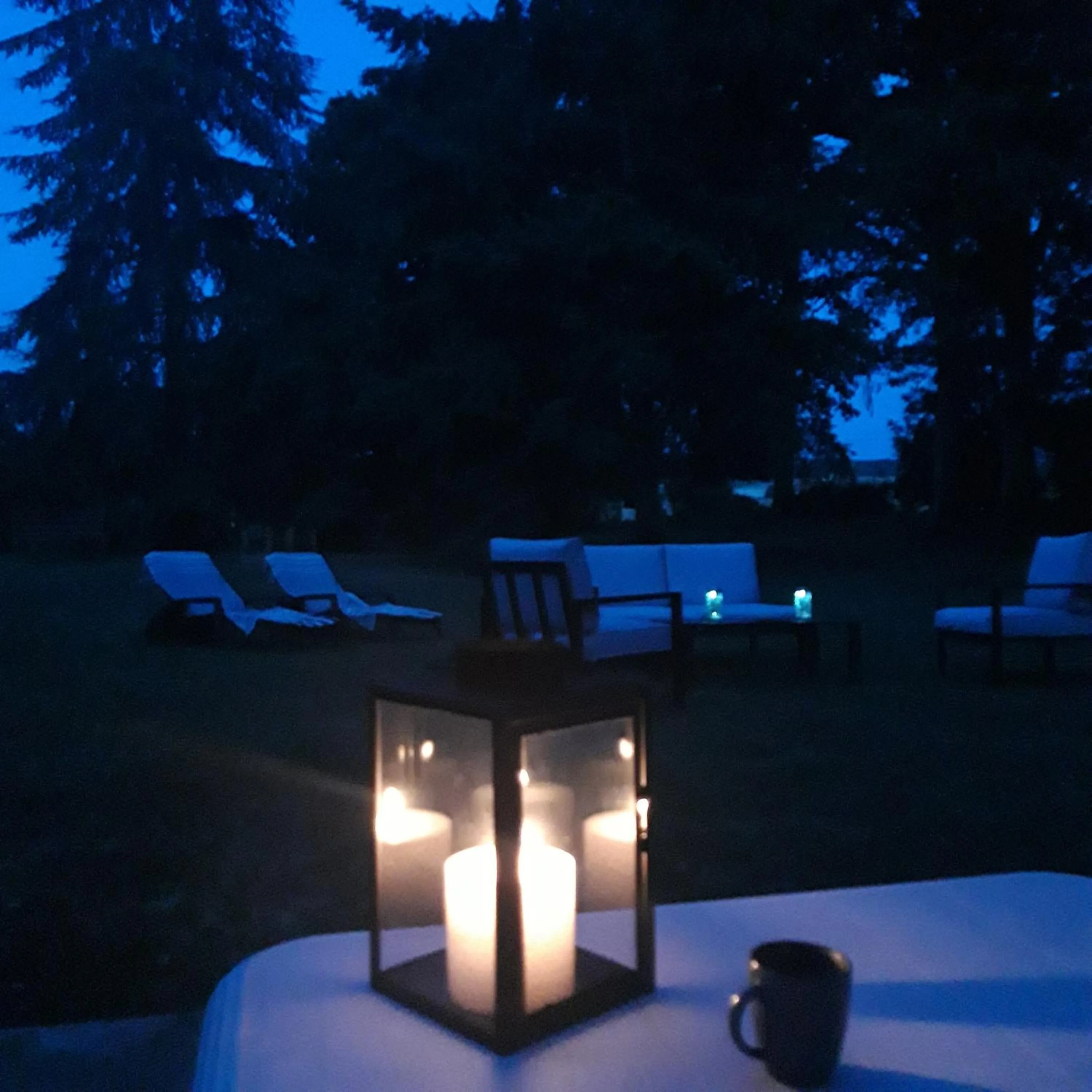 Garden view in L'EDEN proche du Zoo de Beauval de Saint Aignan