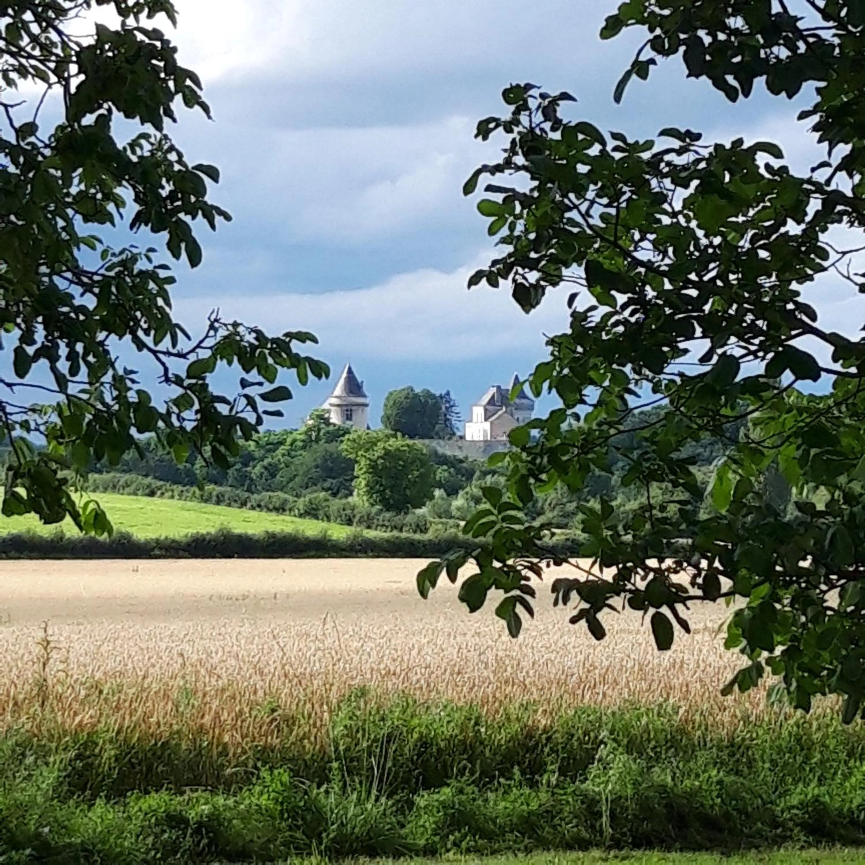 Natural landscape in L'EDEN proche du Zoo de Beauval de Saint Aignan
