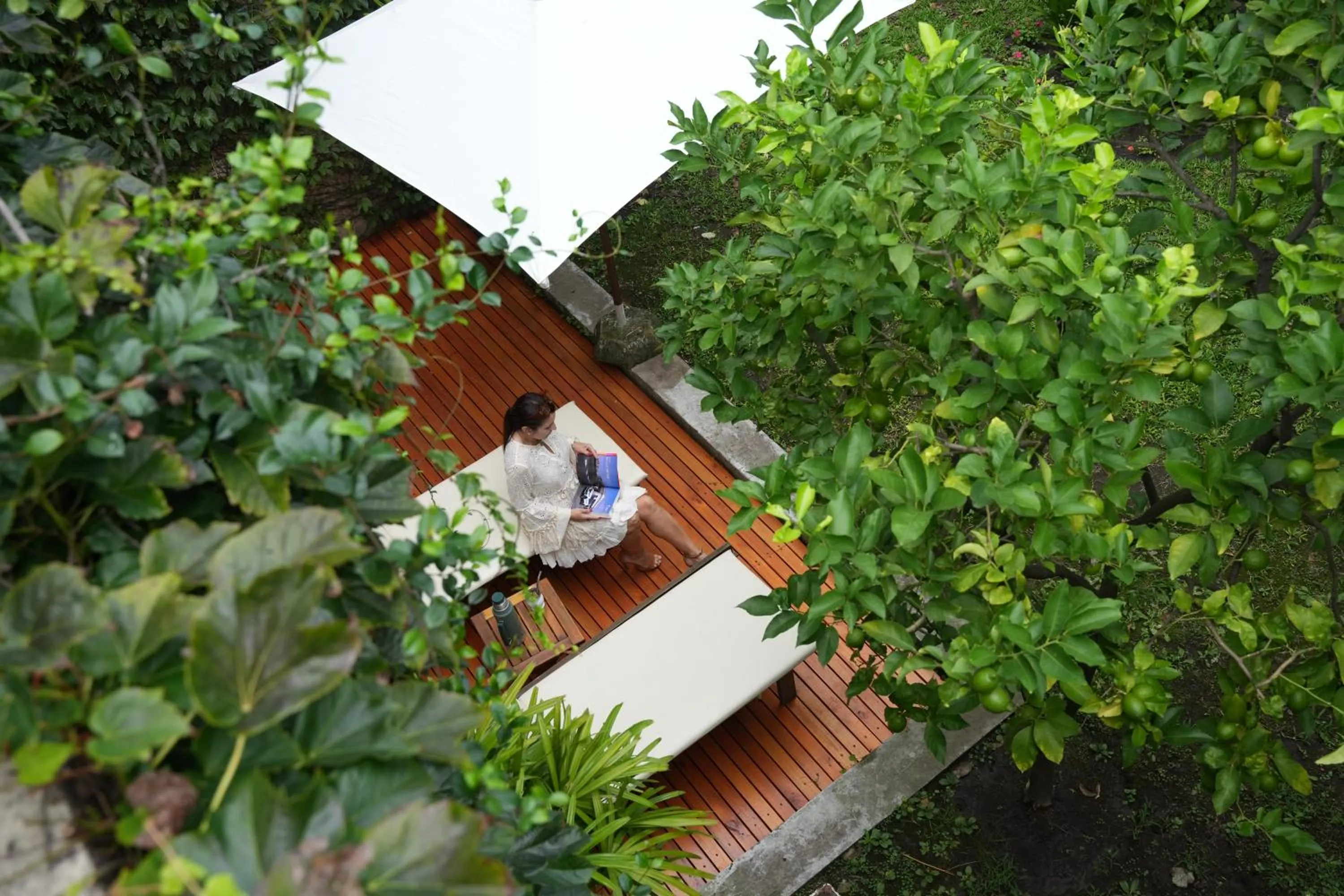 Garden in 248 Finisterra