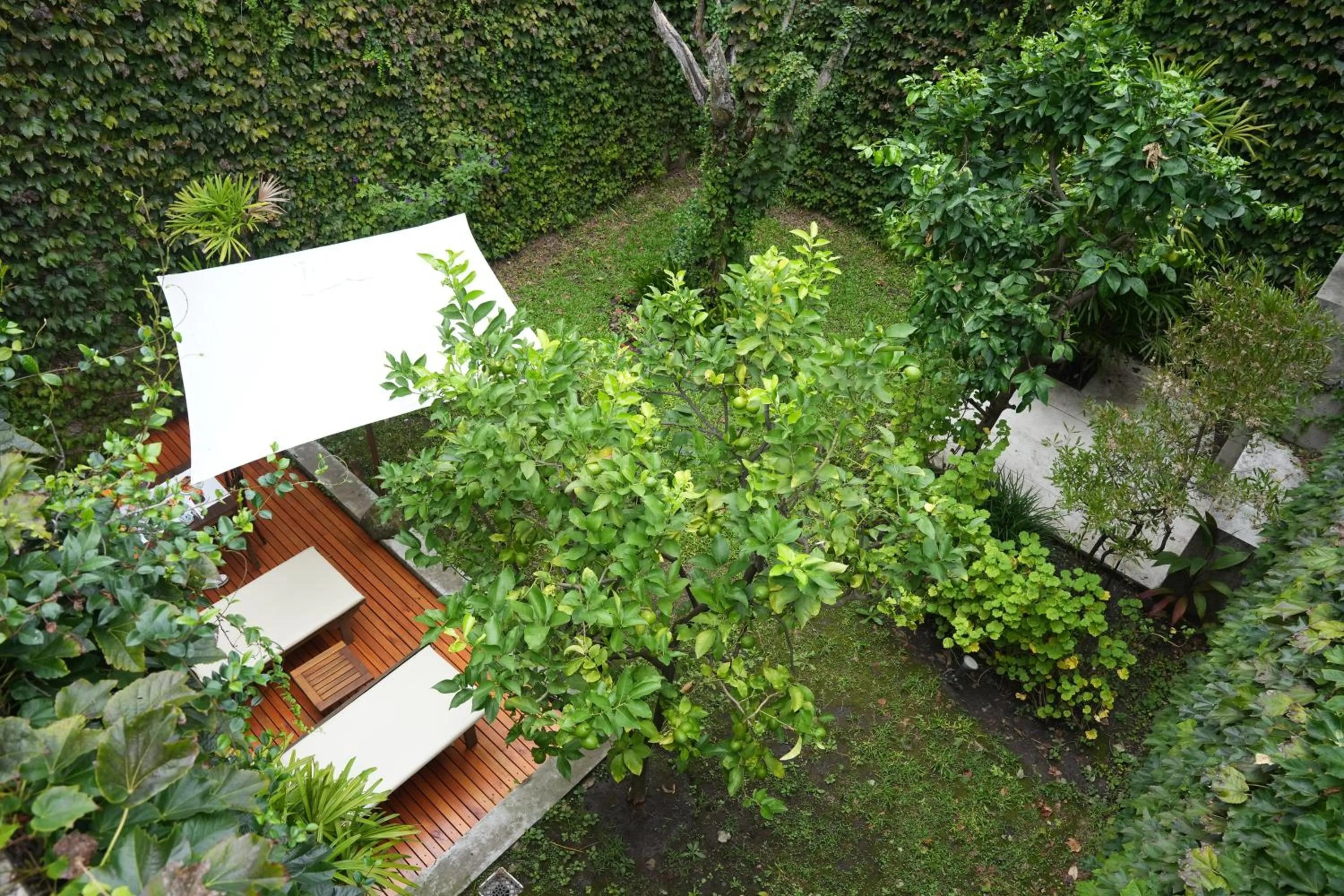 Garden in 248 Finisterra