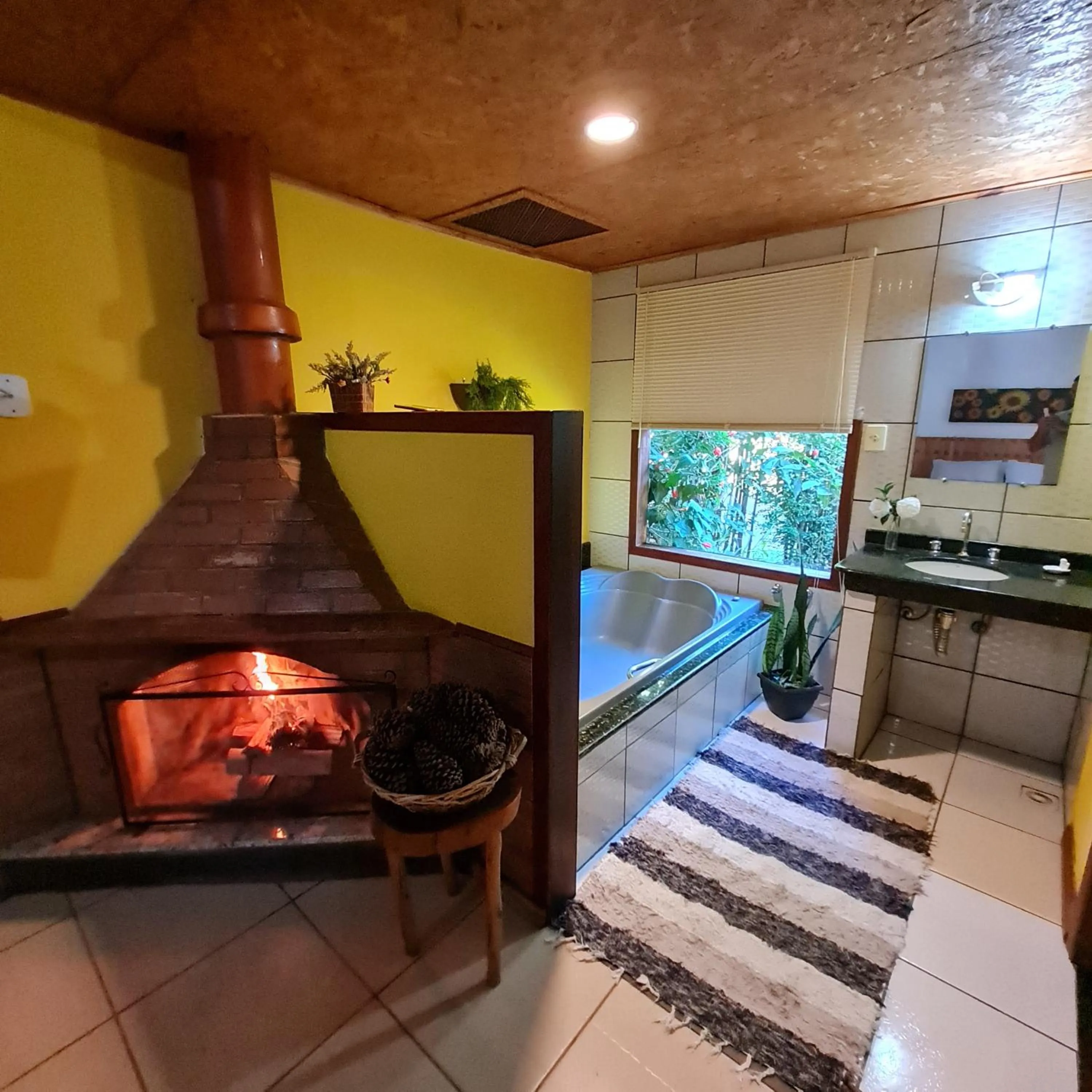 flat iron in Pousada Remanso do Rio Preto