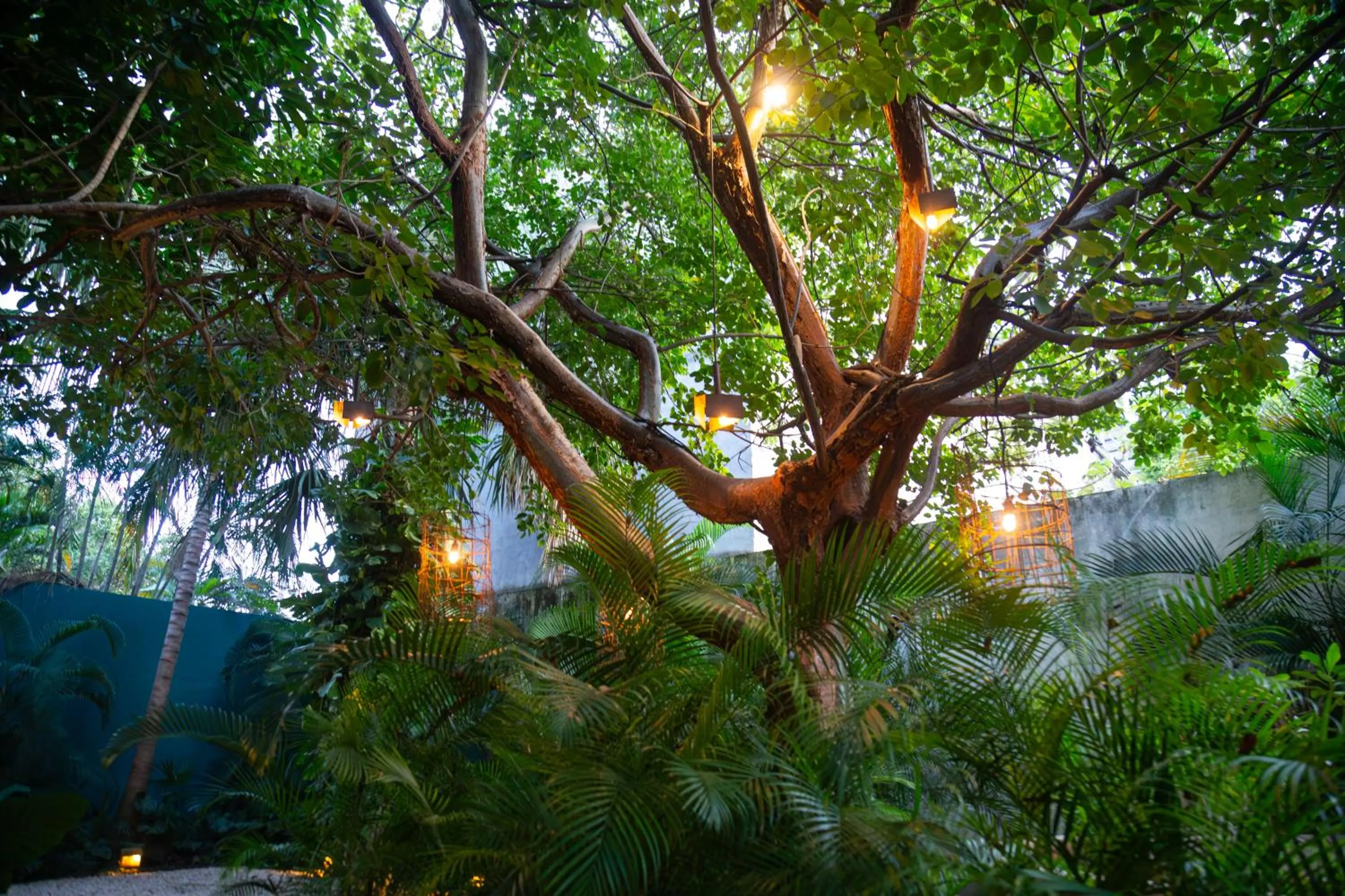 Garden view in DECU DOWNTOWN