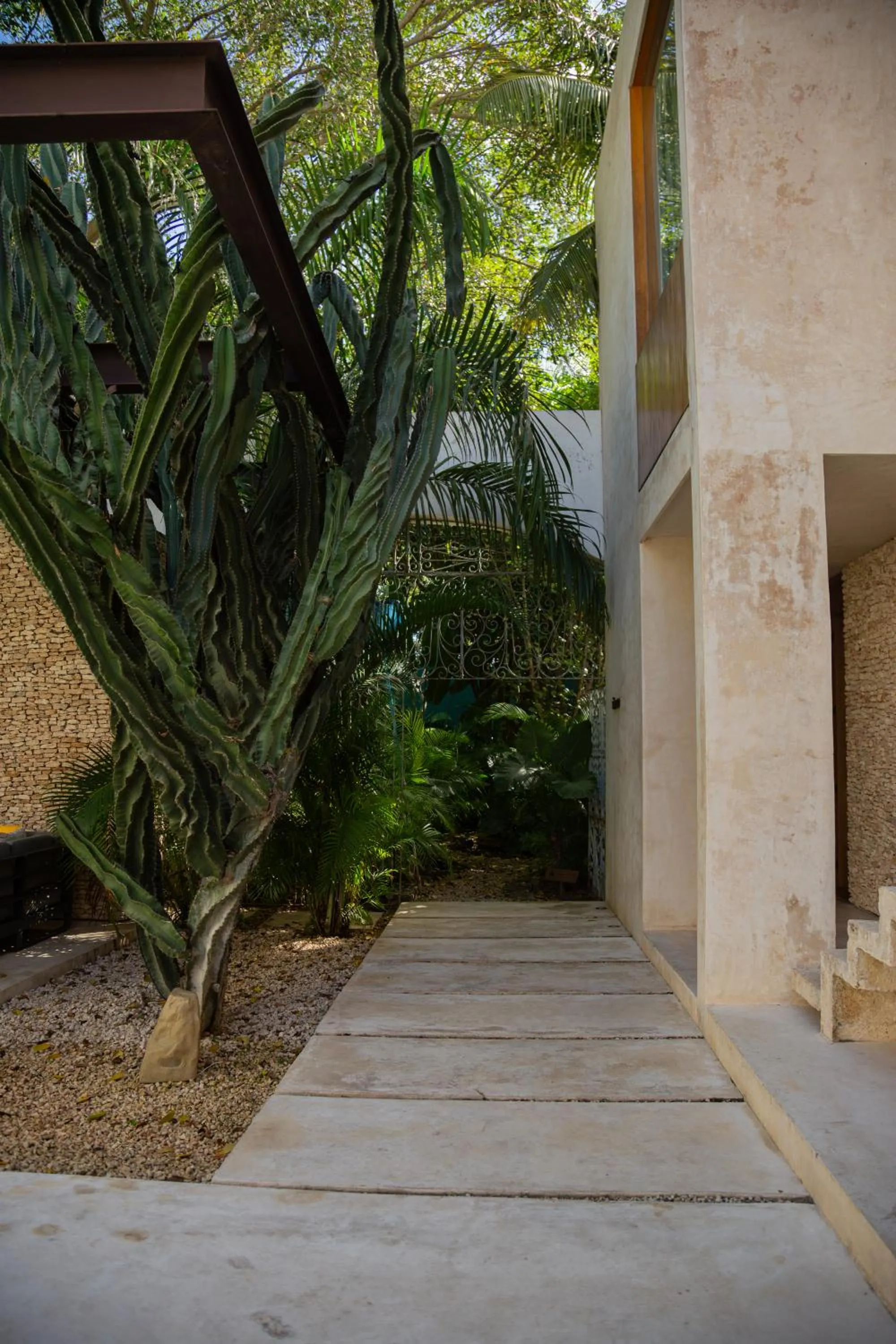 Garden view in DECU DOWNTOWN