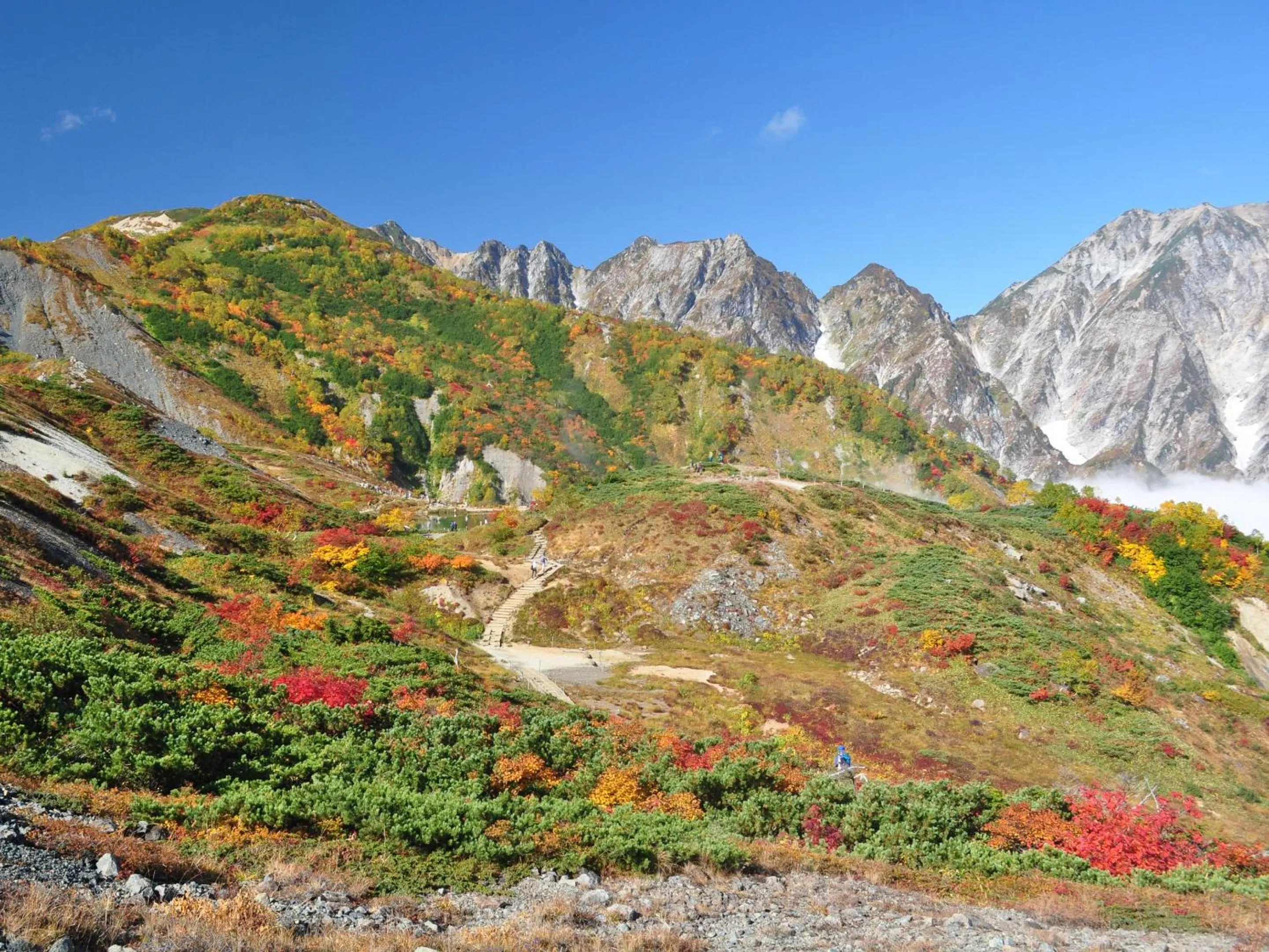 Nearby landmark in Kudo's Lodge