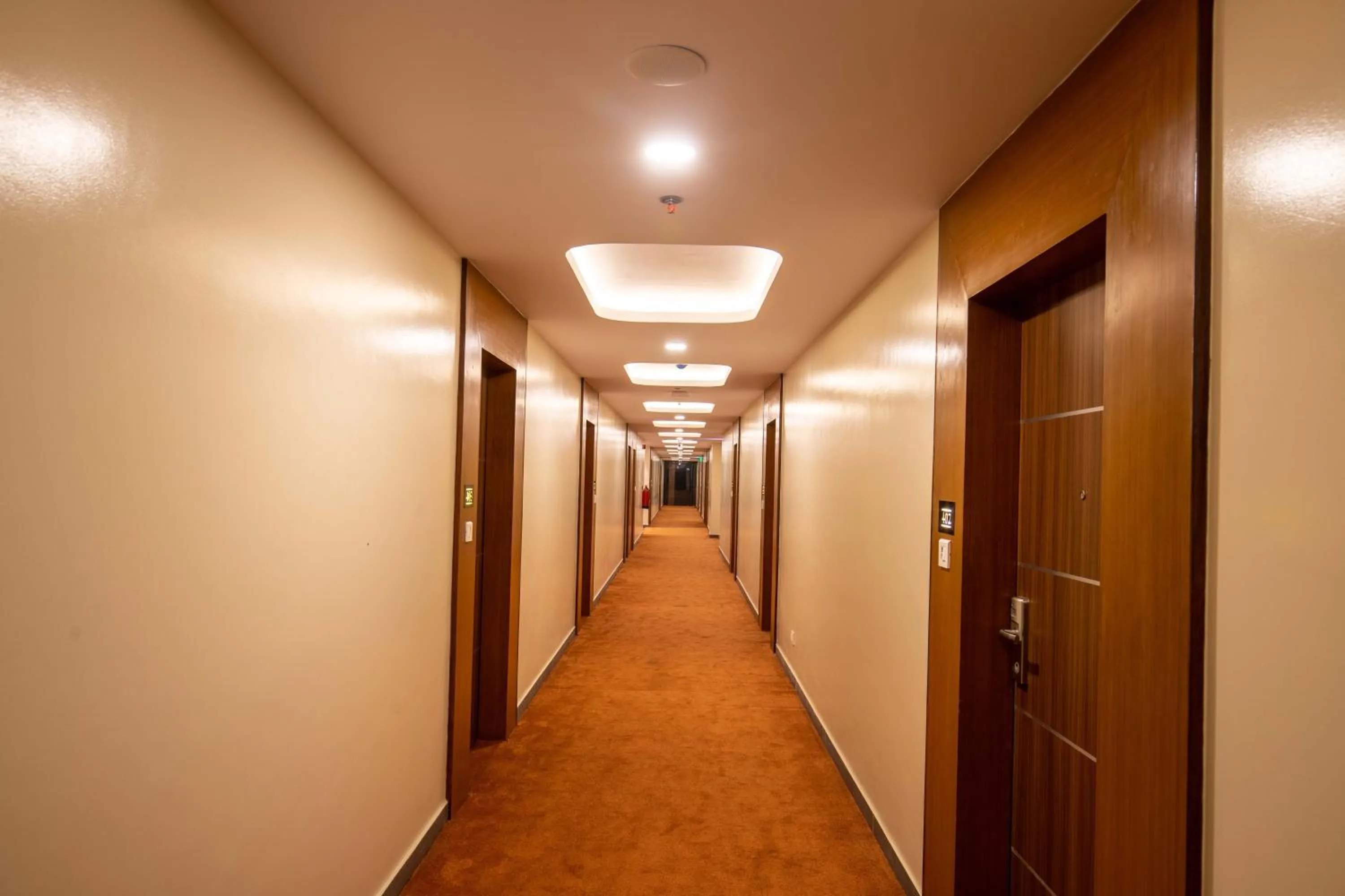 Floor plan in Hotel Palm International