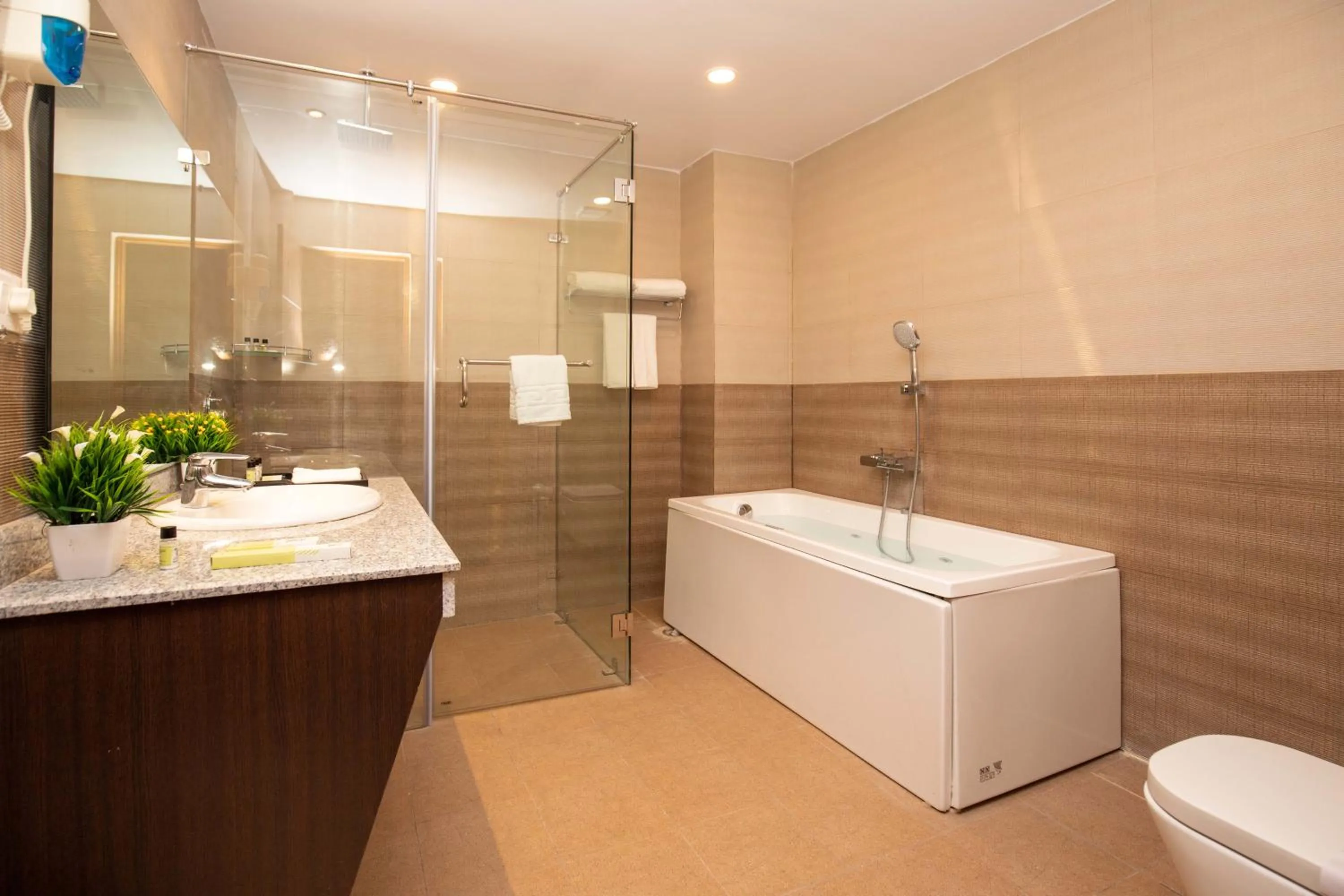 Bathroom in Hotel Palm International