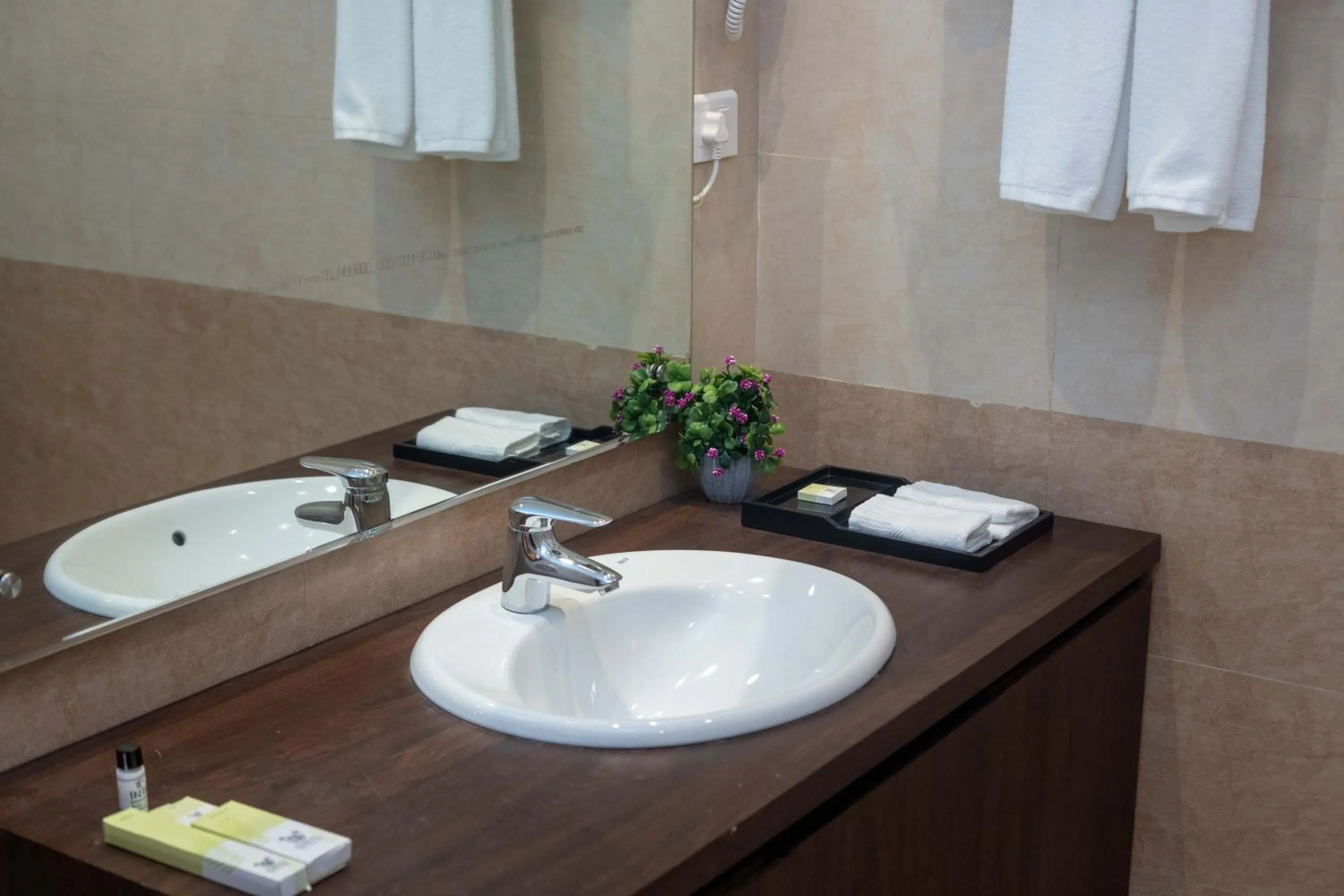 Bathroom in Hotel Palm International