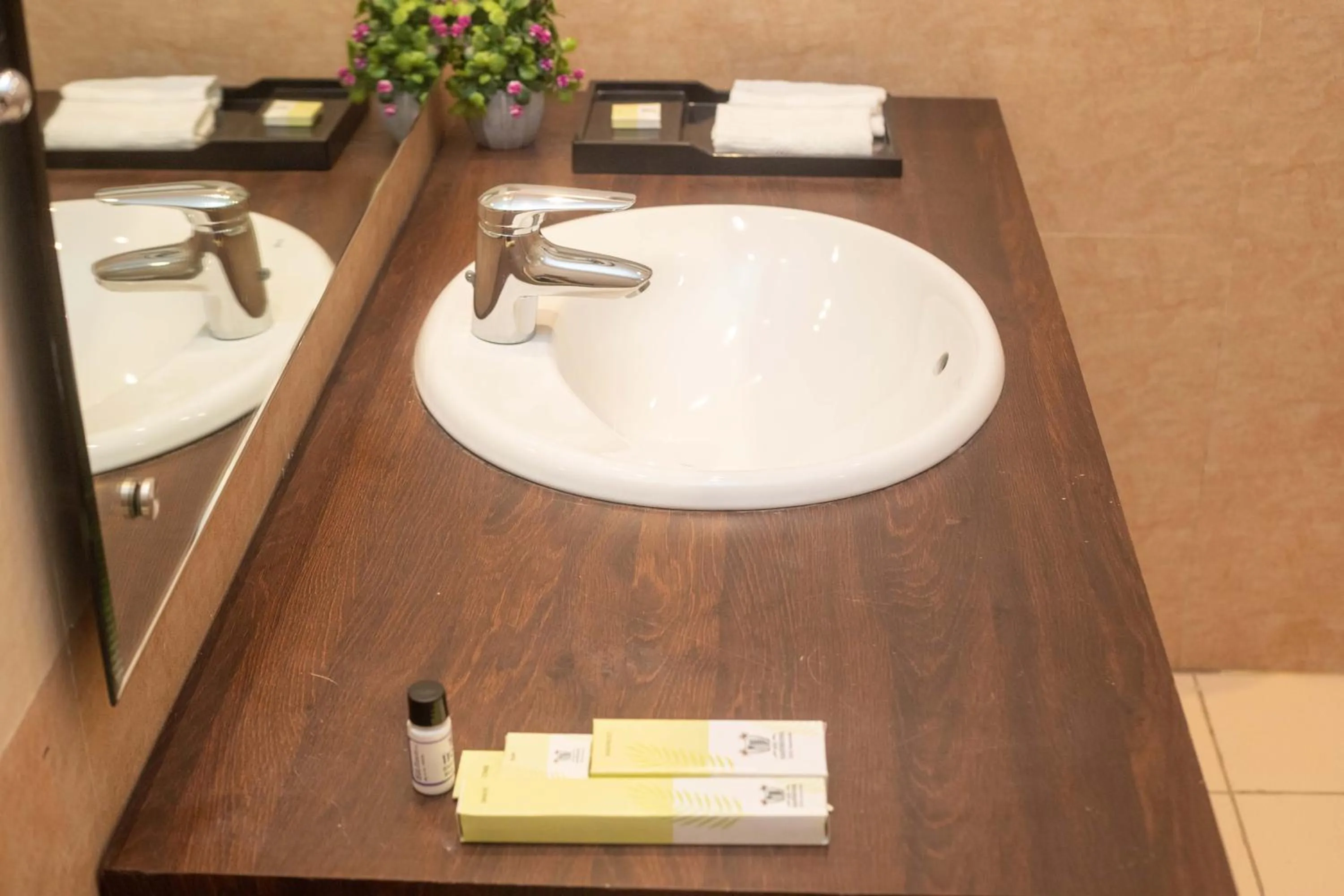 Bathroom in Hotel Palm International