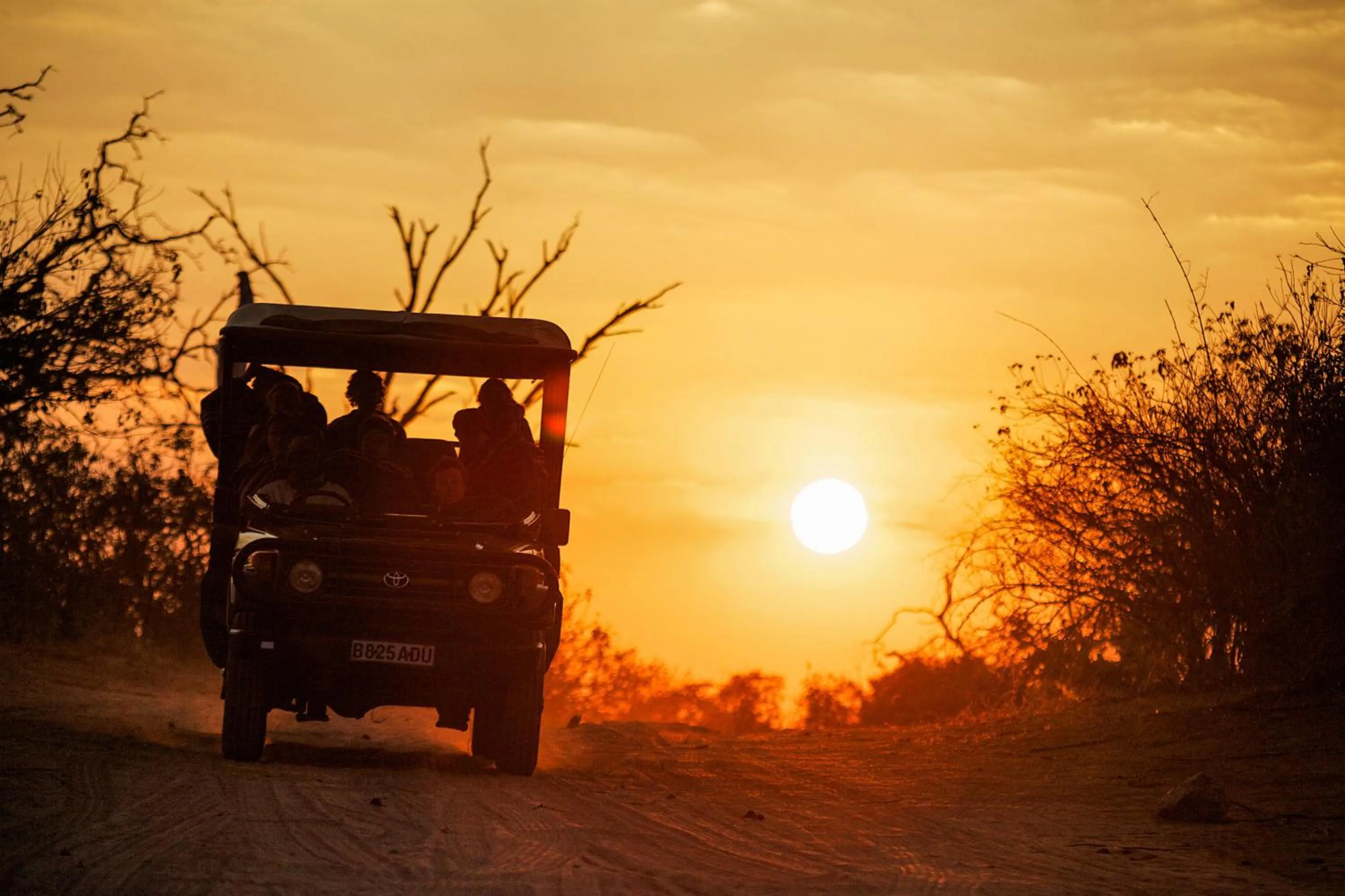 Sunset in Chobe Safari Lodges