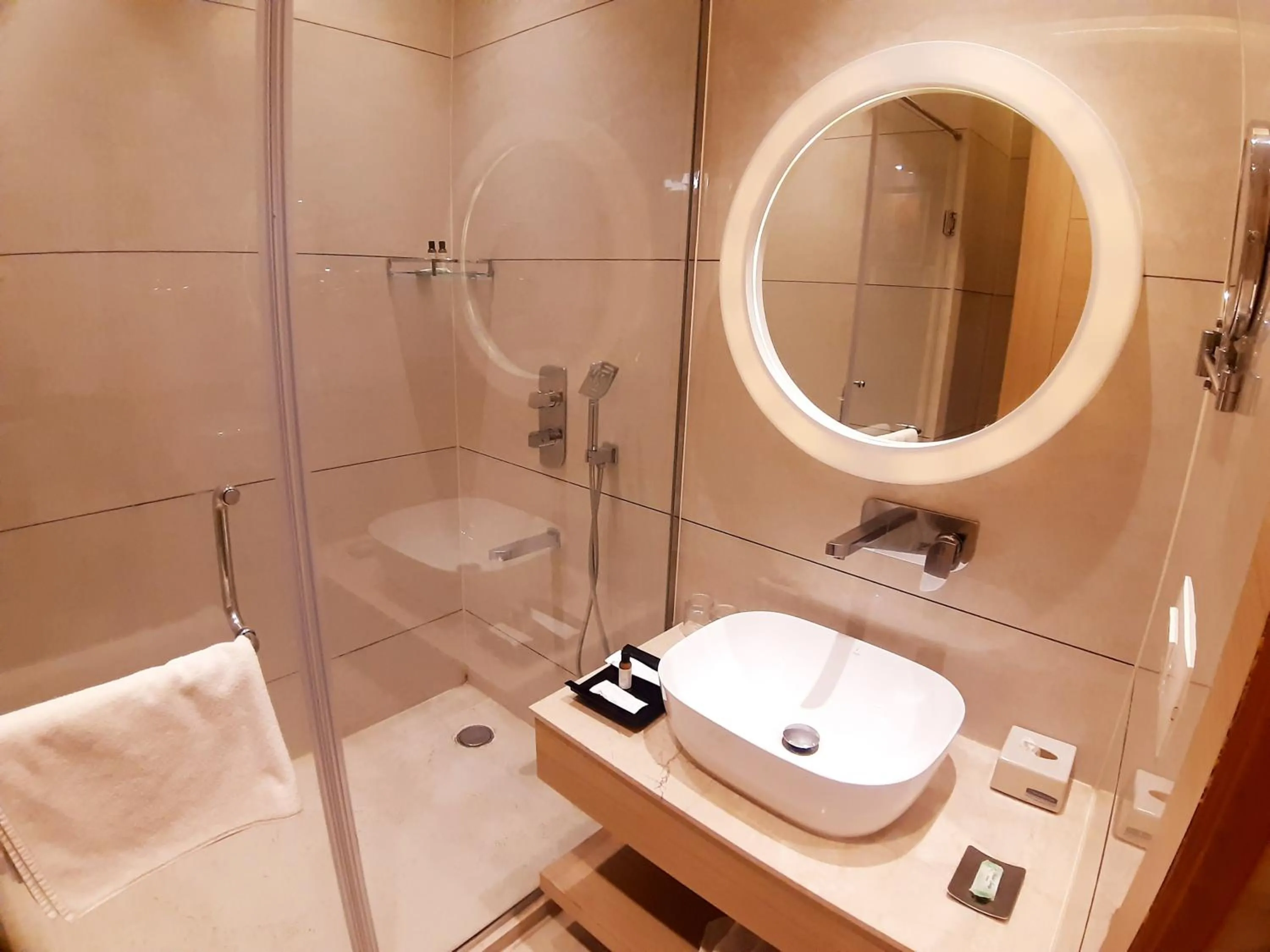 Bathroom in Best Western Vrindavan