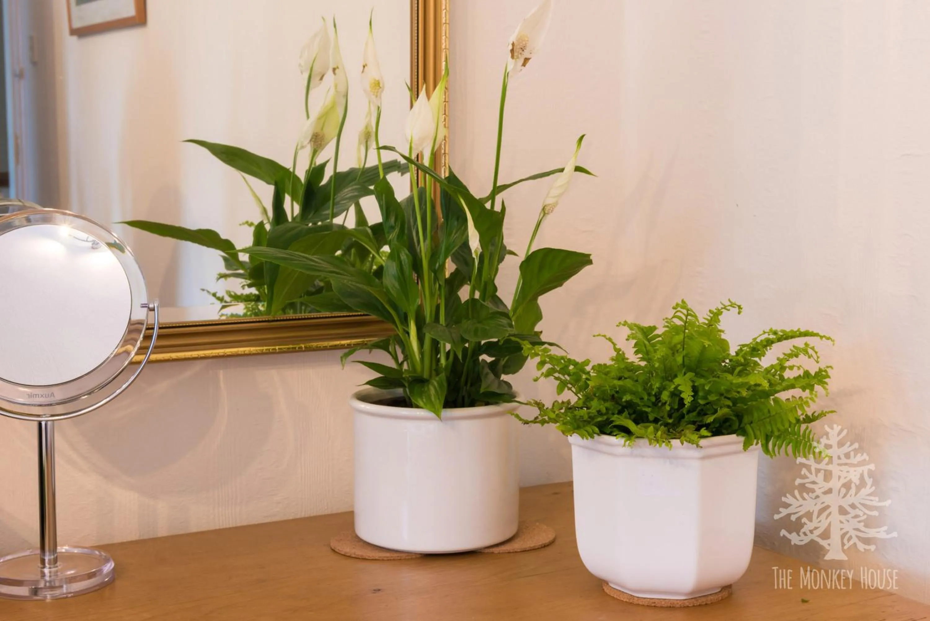 Bedroom in The Monkey House B&B