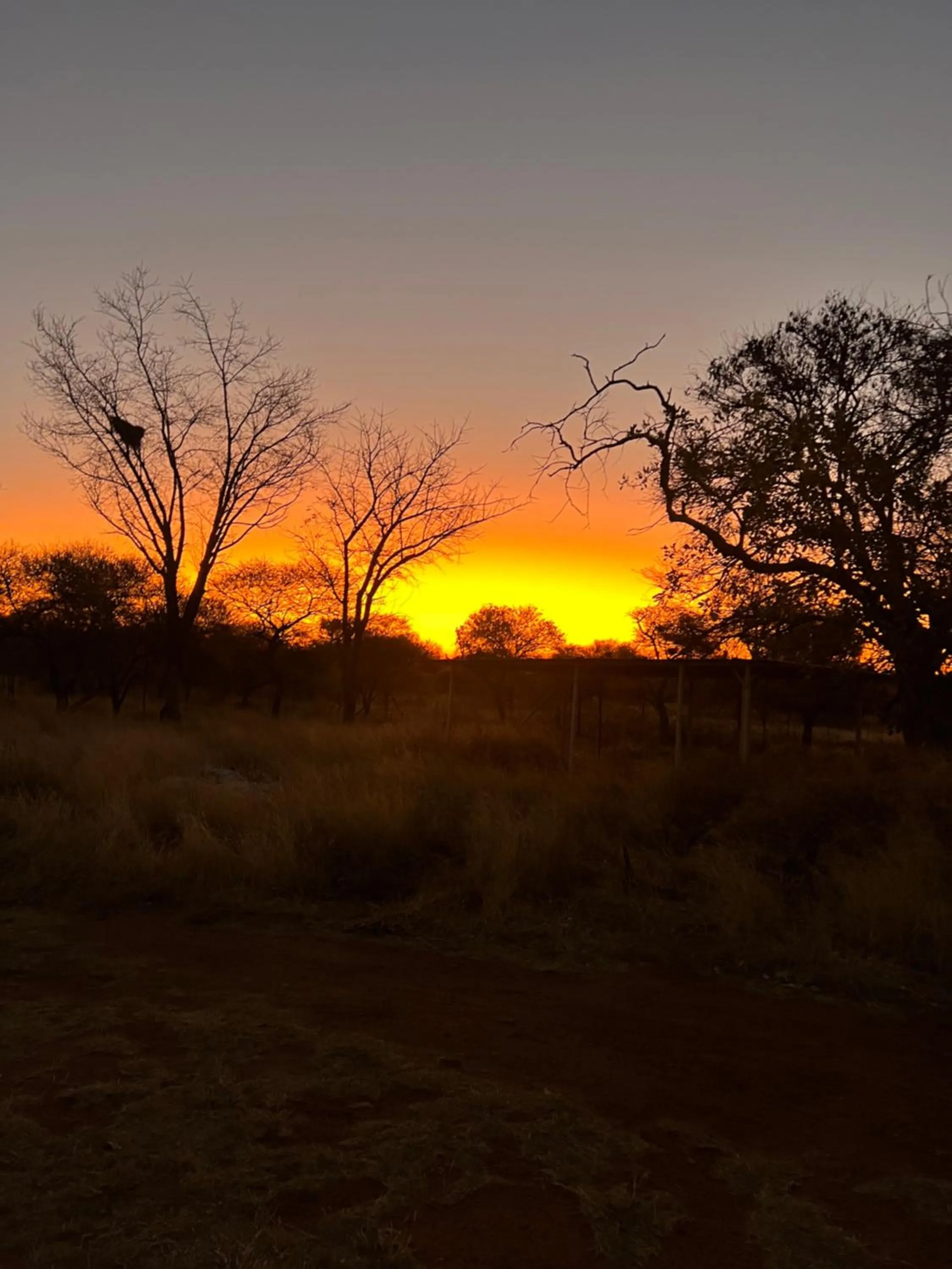 Natural landscape in Simba Safaris African Pride Exotic Lodge