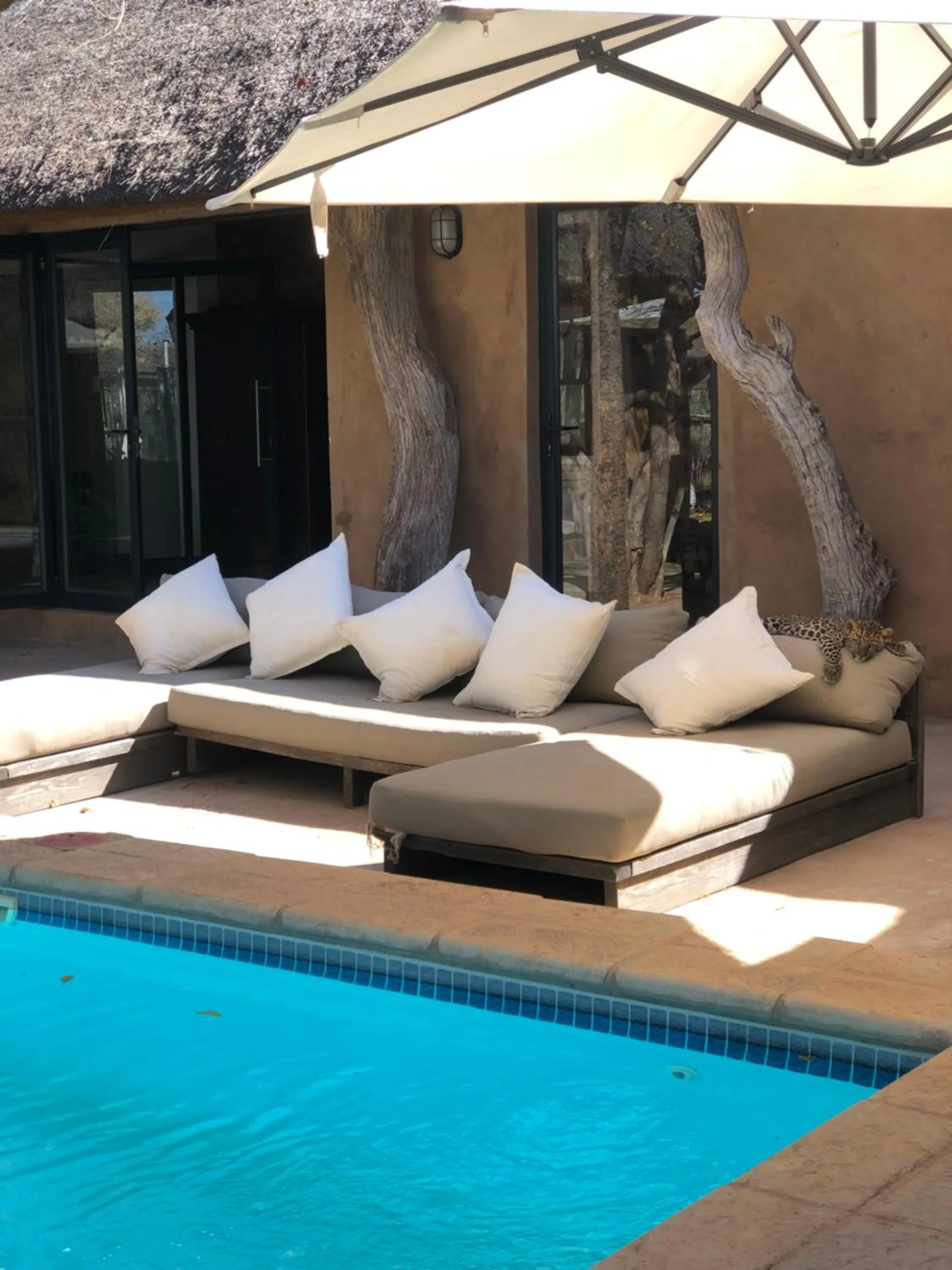 Patio in Simba Safaris African Pride Exotic Lodge