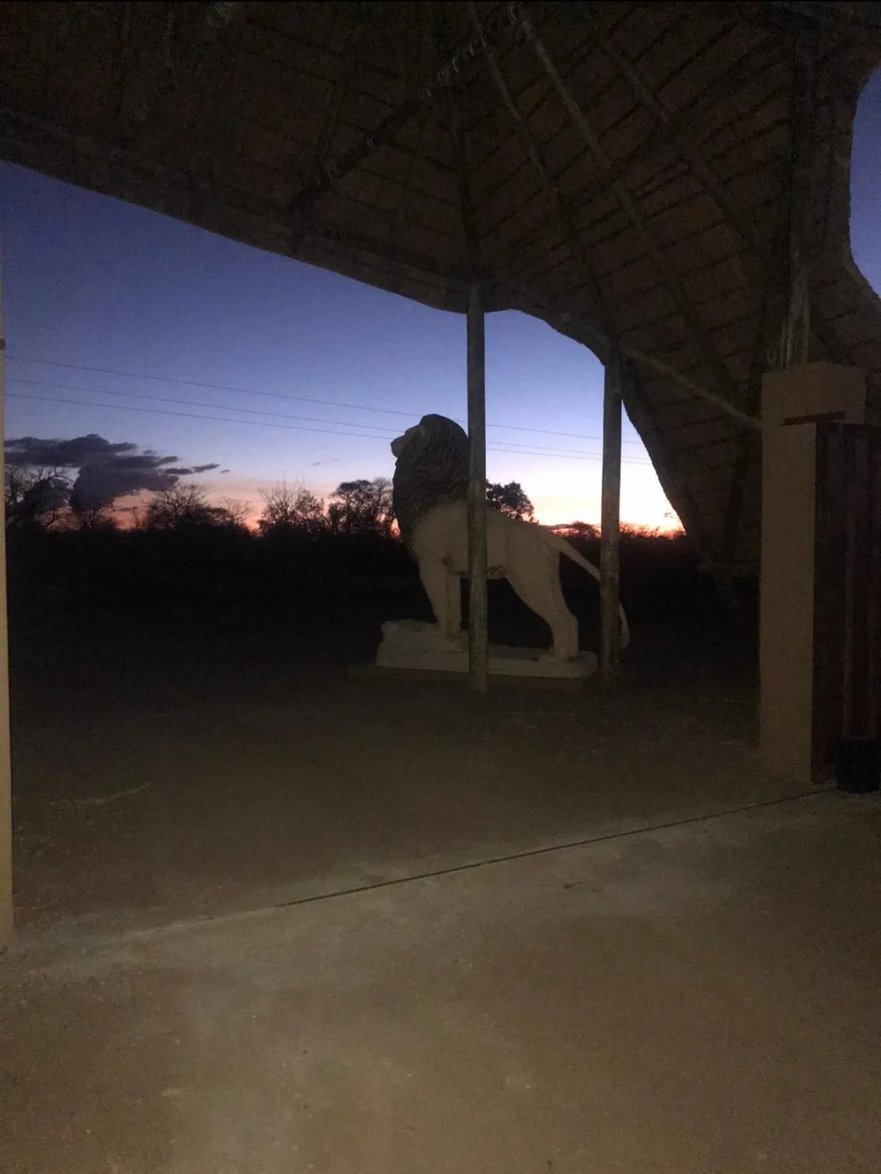Facade/entrance in Simba Safaris African Pride Exotic Lodge