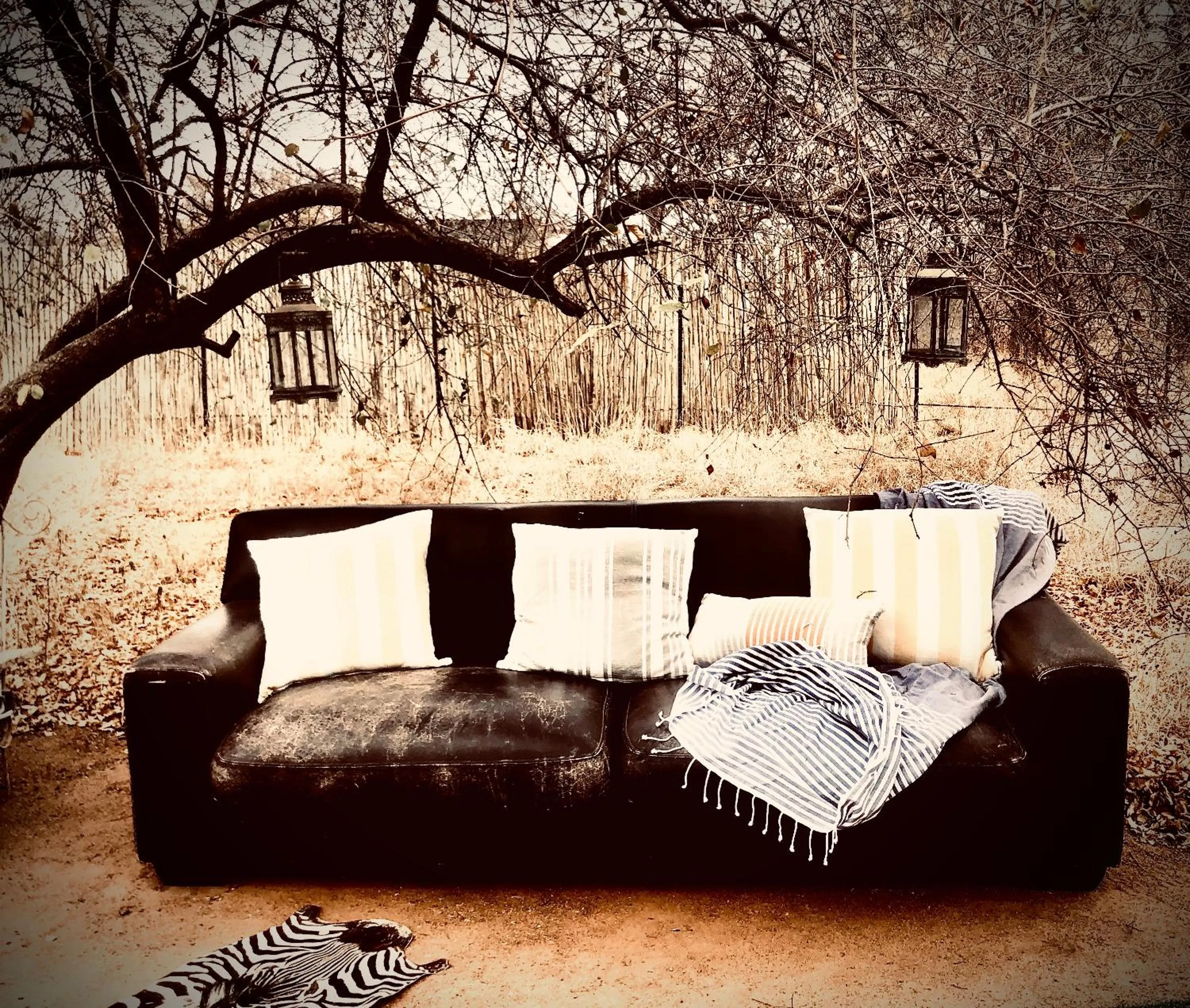 Day in Simba Safaris African Pride Exotic Lodge