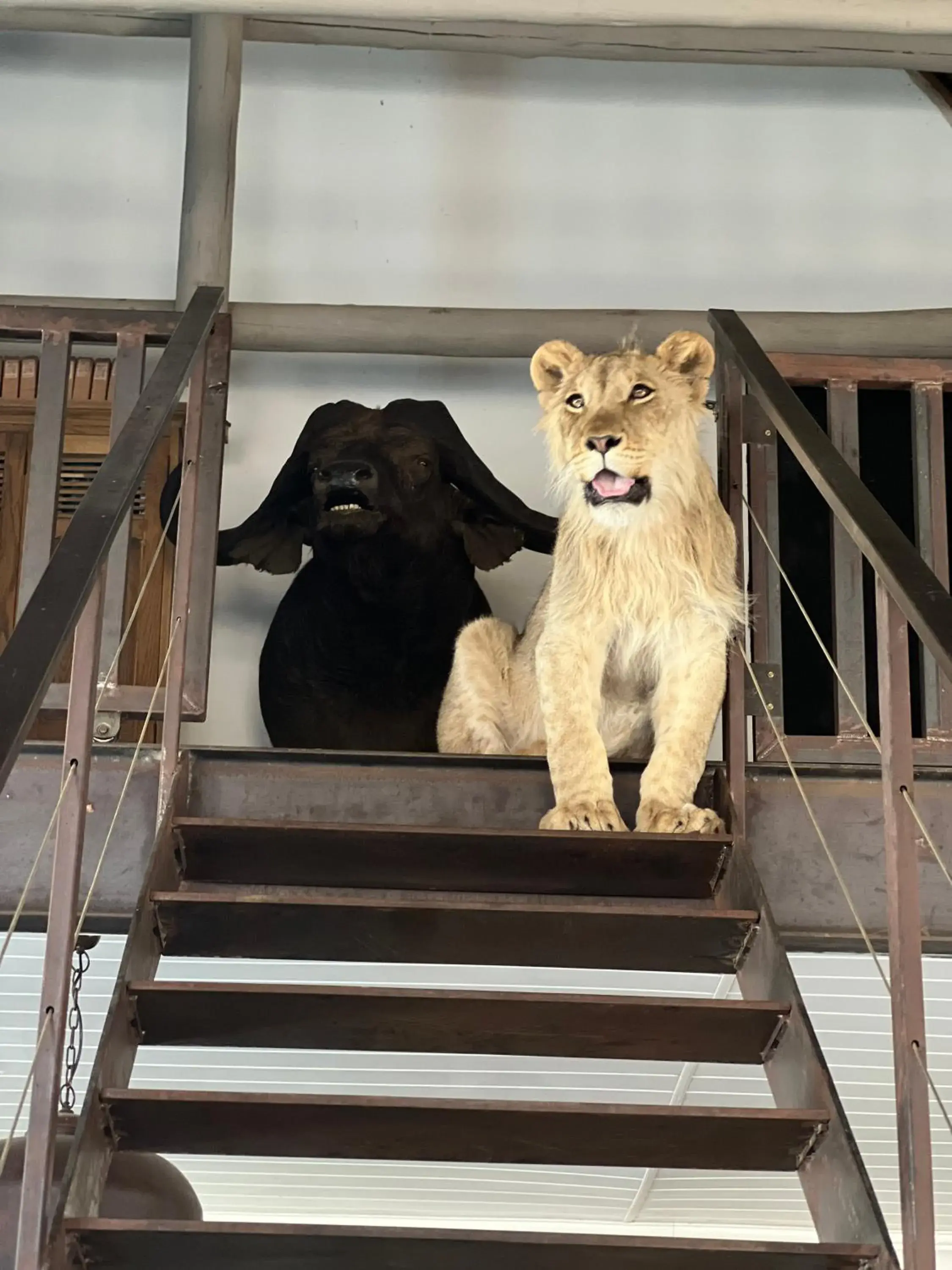 Deluxe Double or Twin Room with Pool Access in Simba Safaris African Pride Exotic Lodge Deluxe Double or Twin Room with Pool Access in Simba Safaris African Pride Exotic Lodge