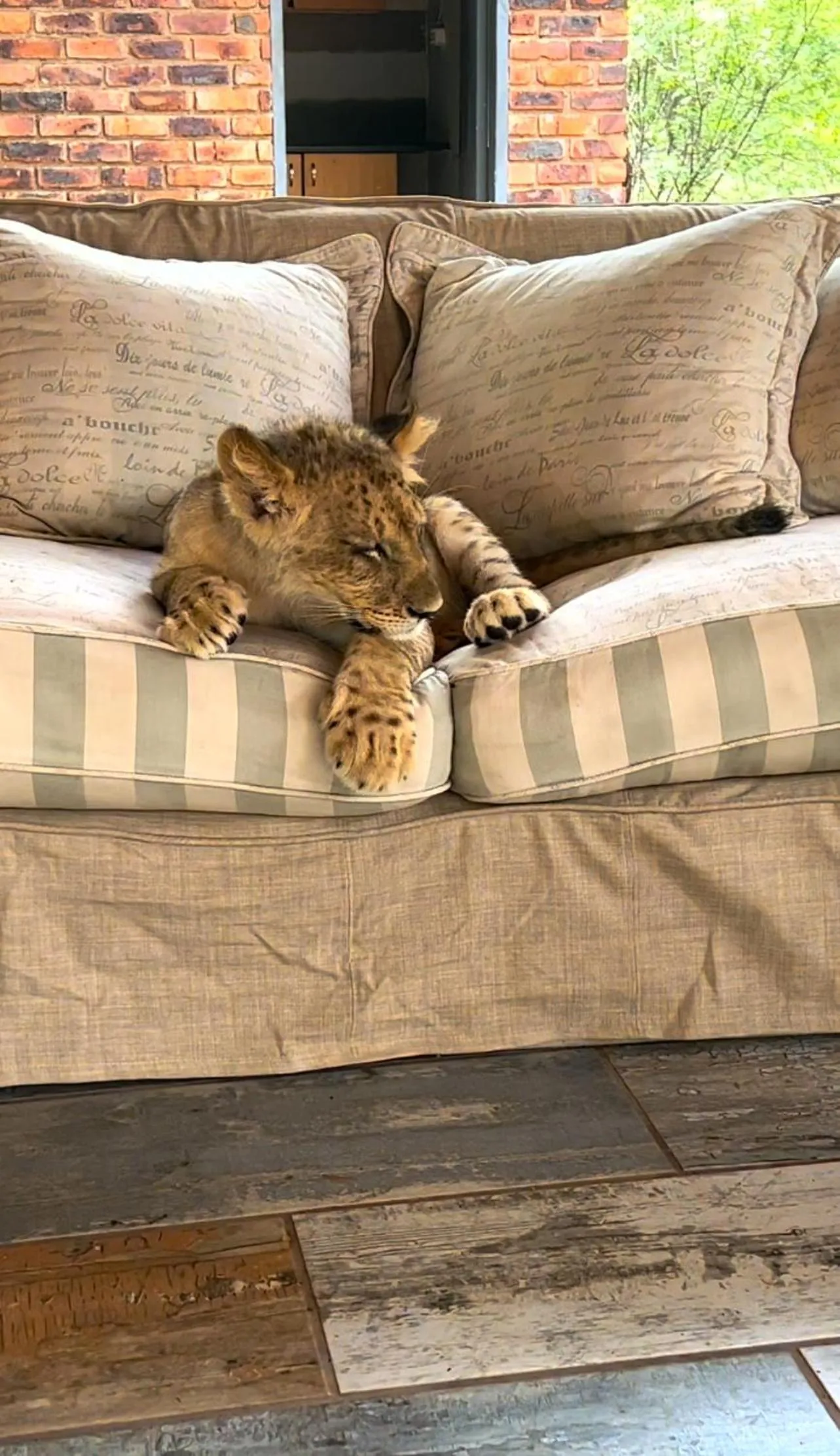 View (from property/room) in Simba Safaris African Pride Exotic Lodge