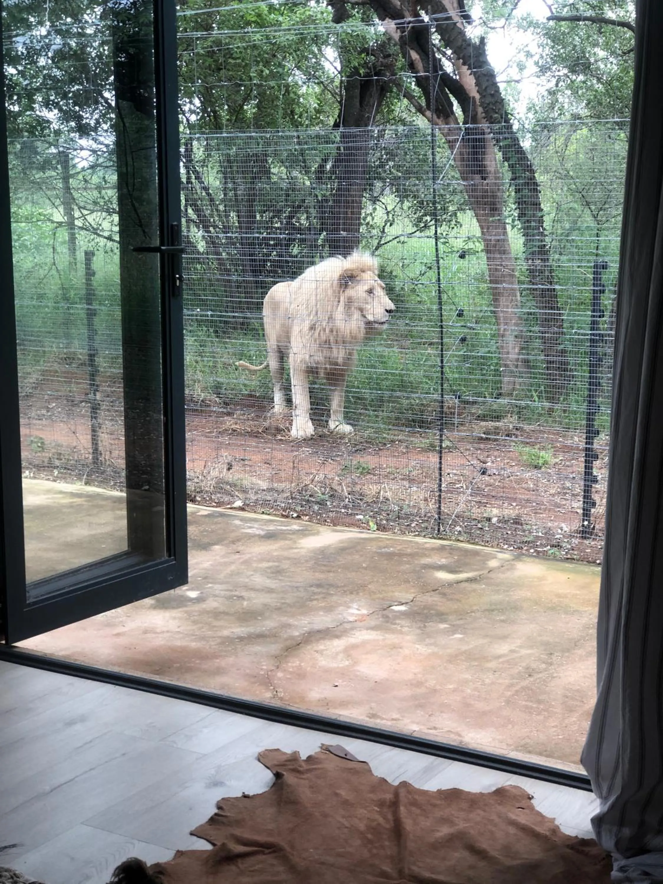 View (from property/room) in Simba Safaris African Pride Exotic Lodge