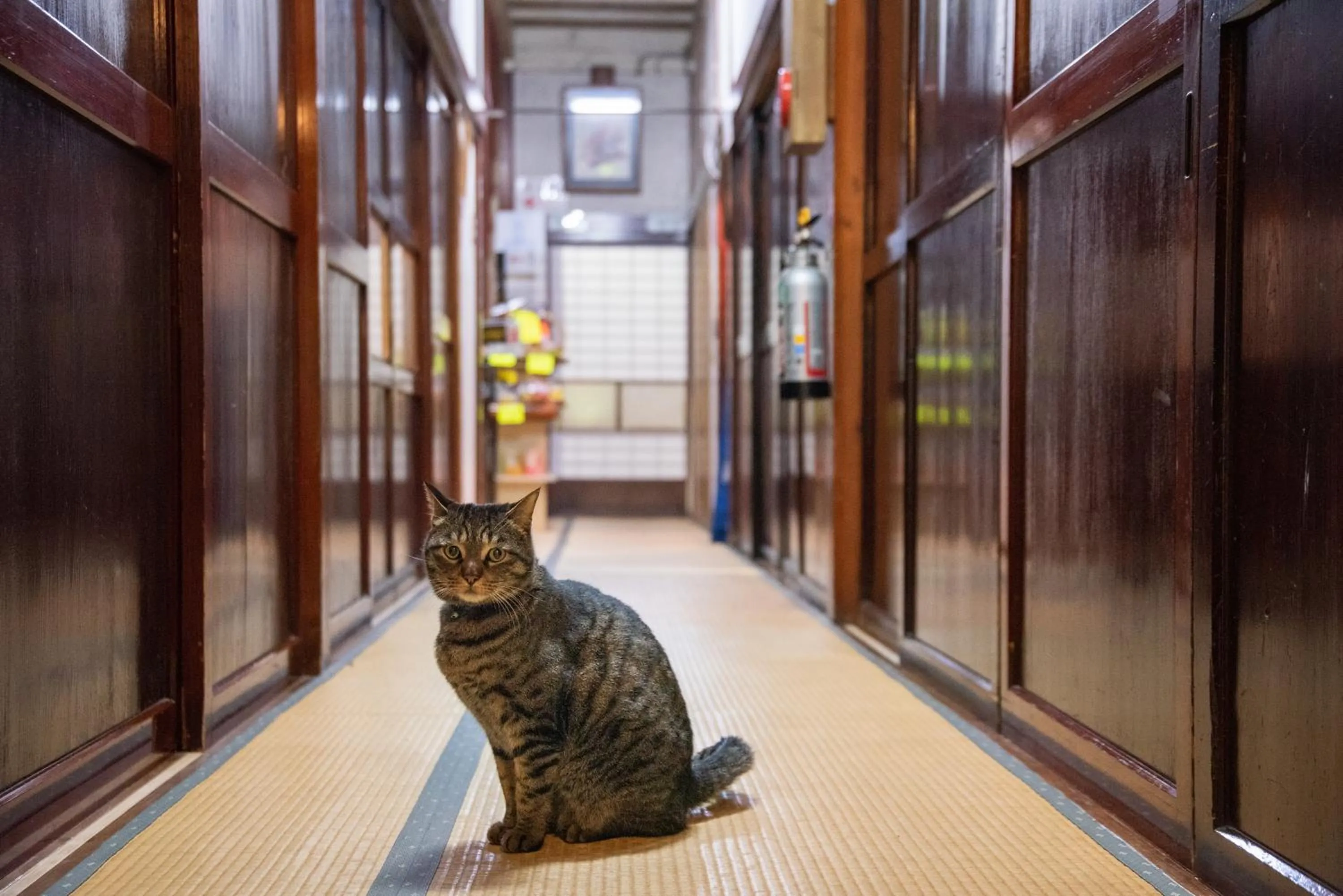 Area and facilities in Setoguchi